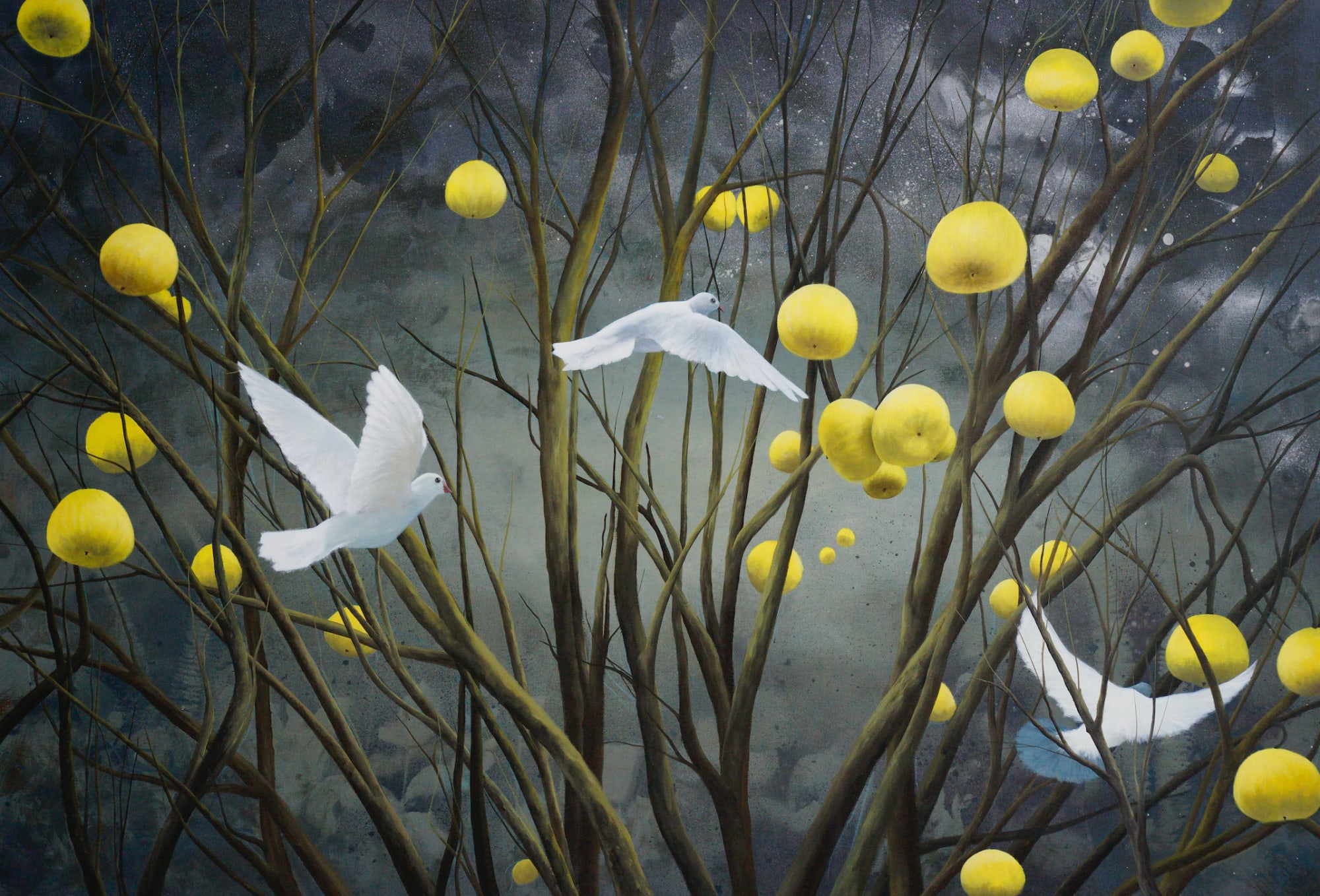 宋宛瑾 Song Wanjin, 柚子树 5 Pomelo Tree 5, 2023