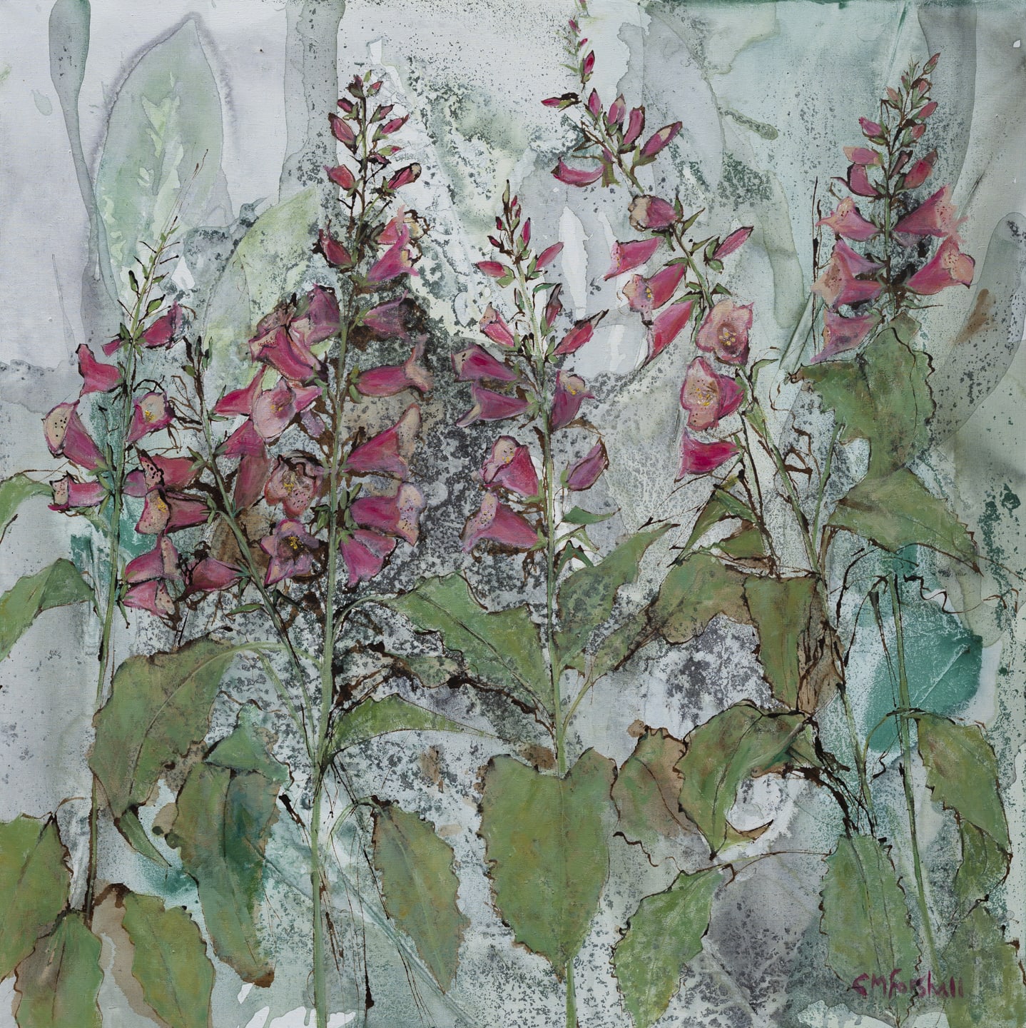 Catherine Forshall, Digitalis , 2019