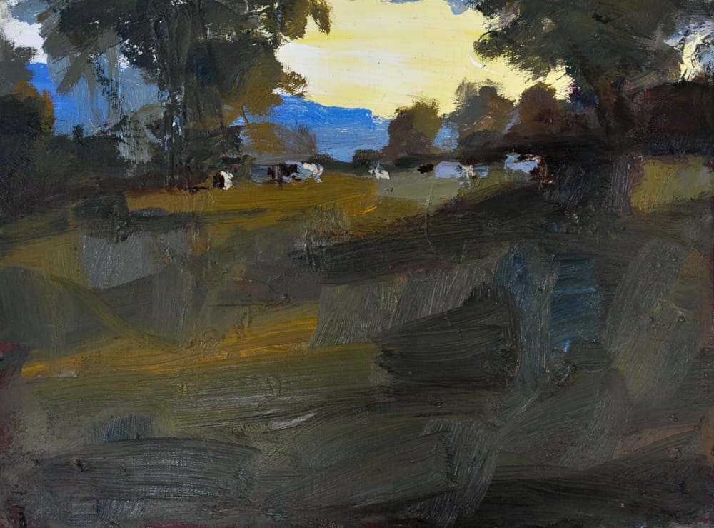 Robert Newton, Cows in a field in the evening sun