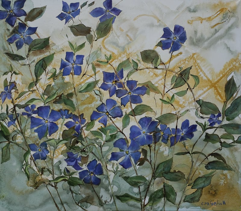 Catherine Forshall, Periwinkles , 2019