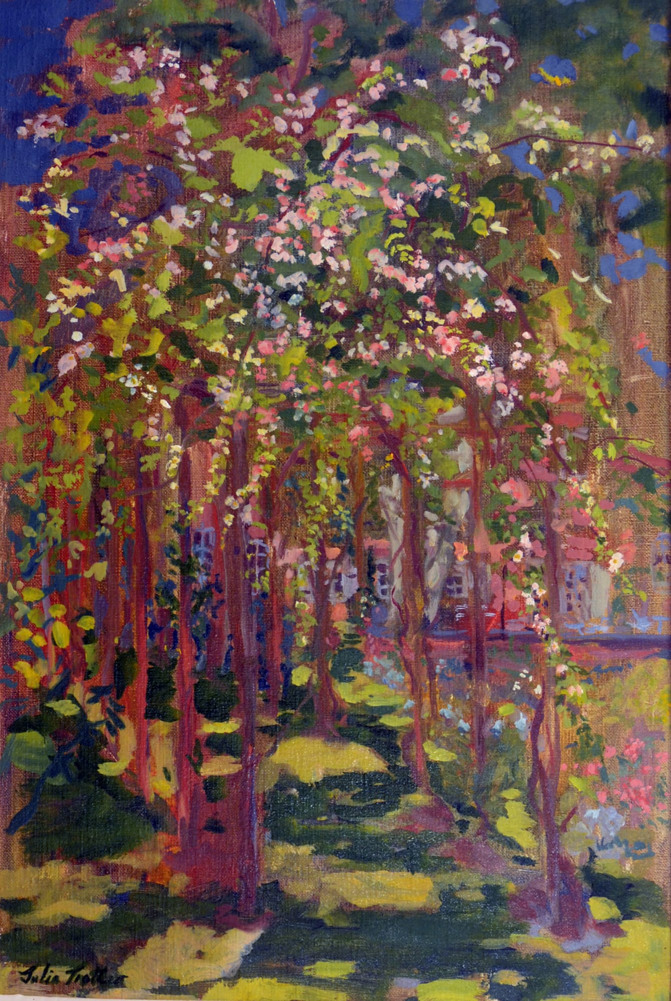 Julia Trotter, The Rose Pergola Provence