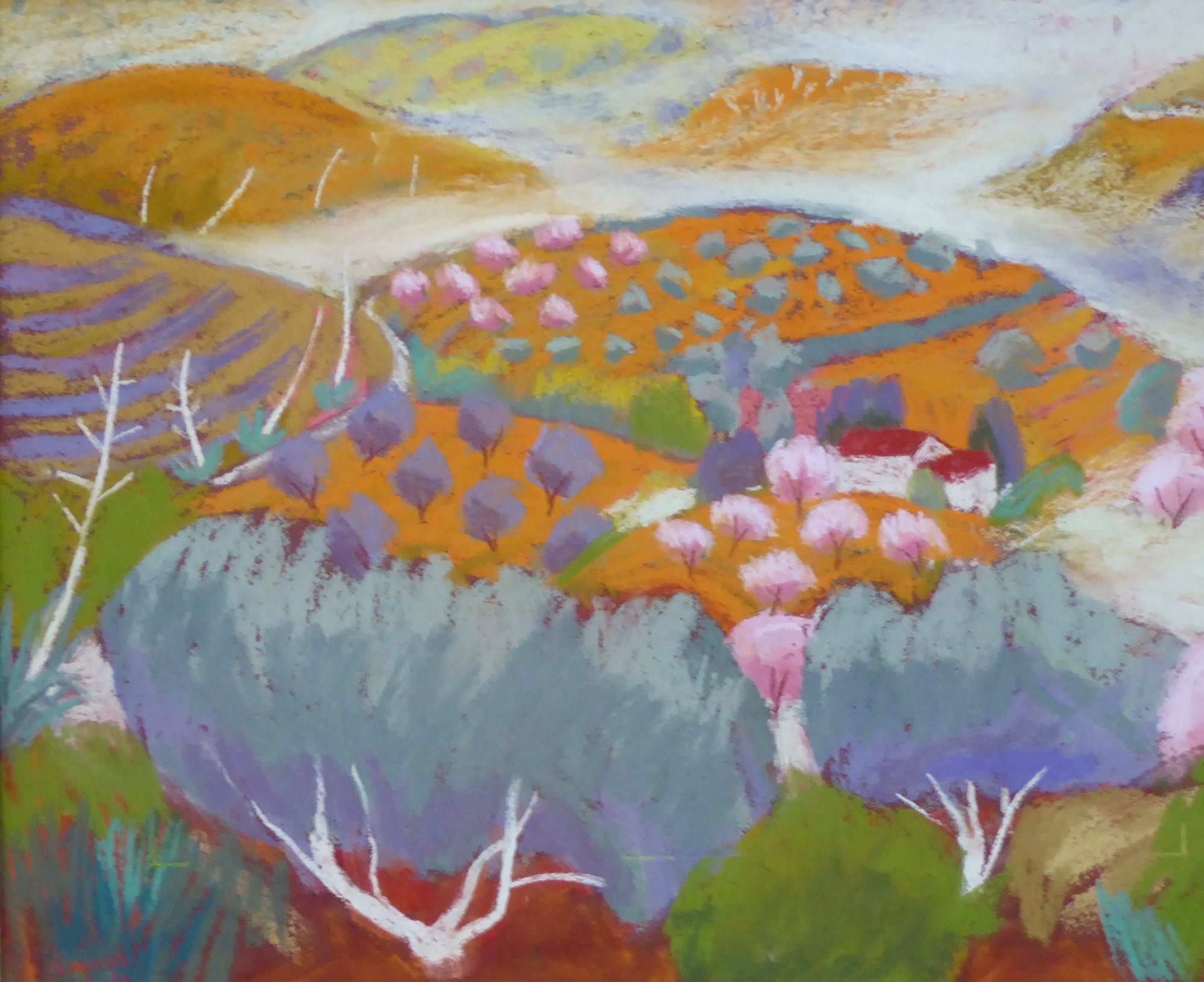 Sue Campion, Mist in the Olive Groves