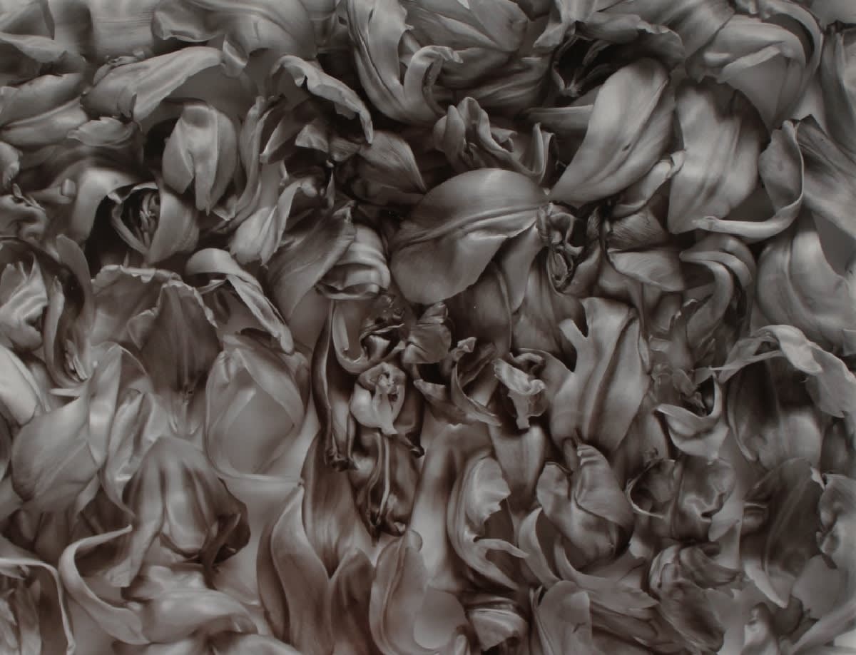 John Blakemore, Please enquire for available works.