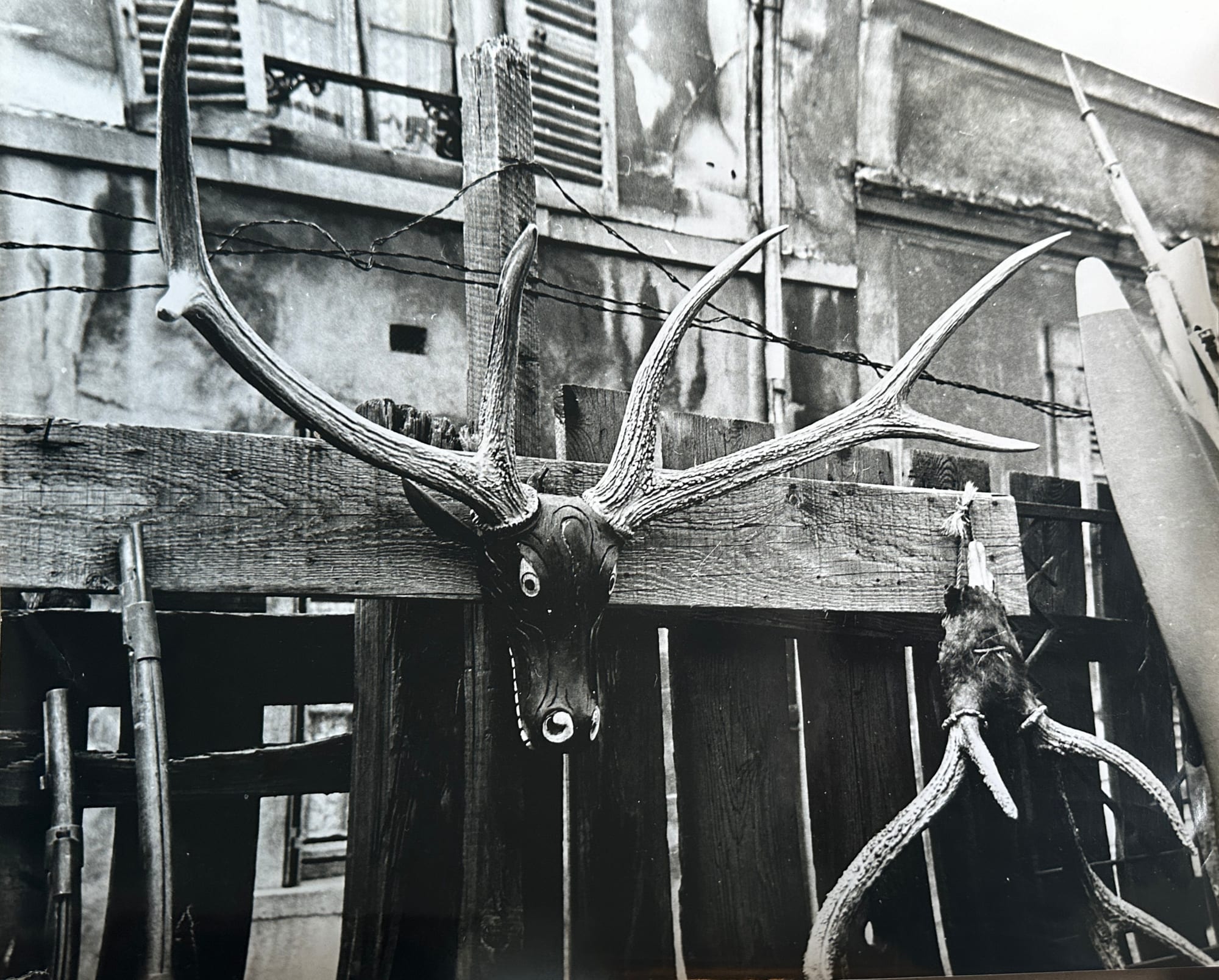 John Deakin, Back Garden, Paris (antlers)