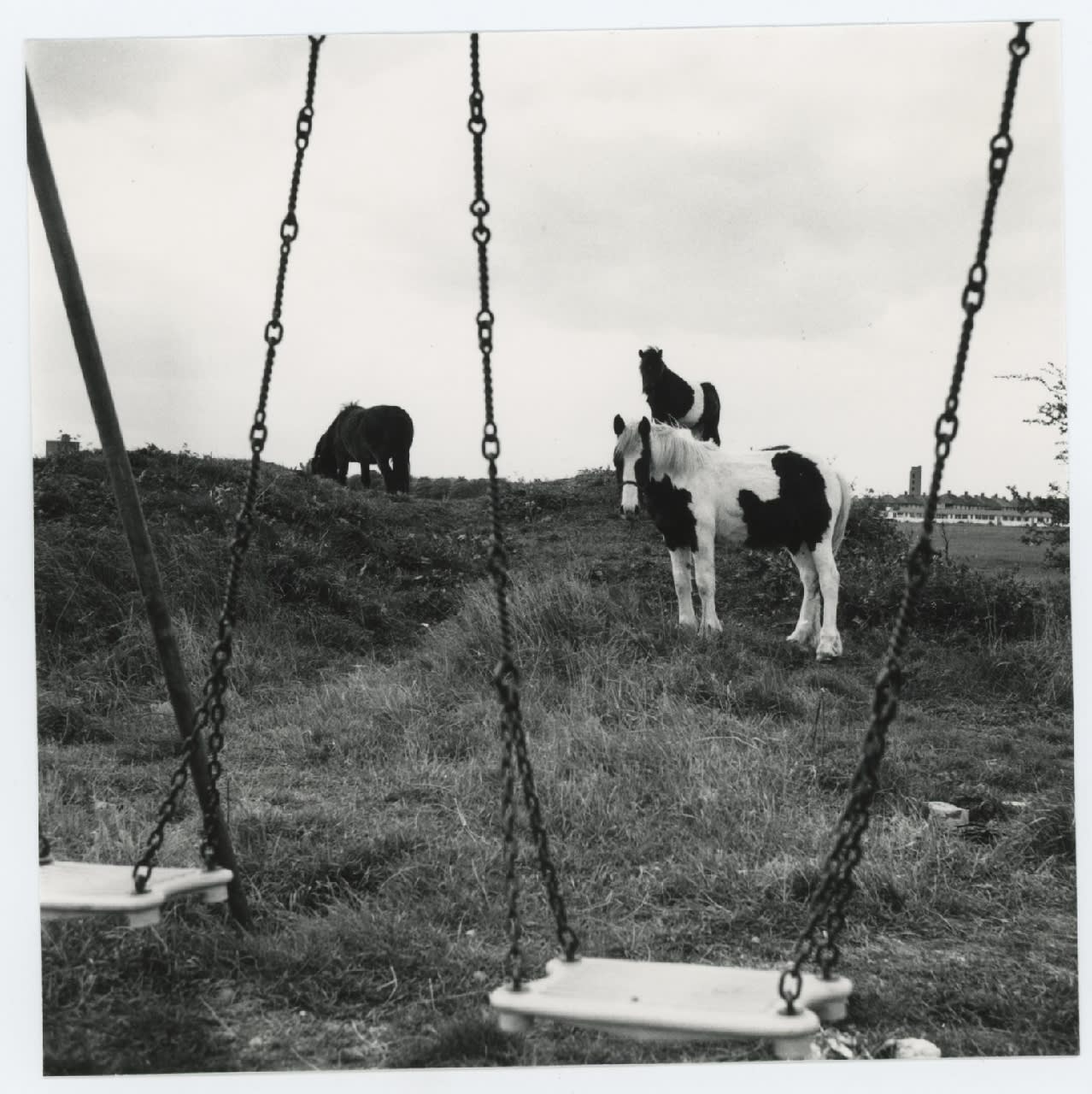 Jo Spence, Gypsies (horses and swings), 1974