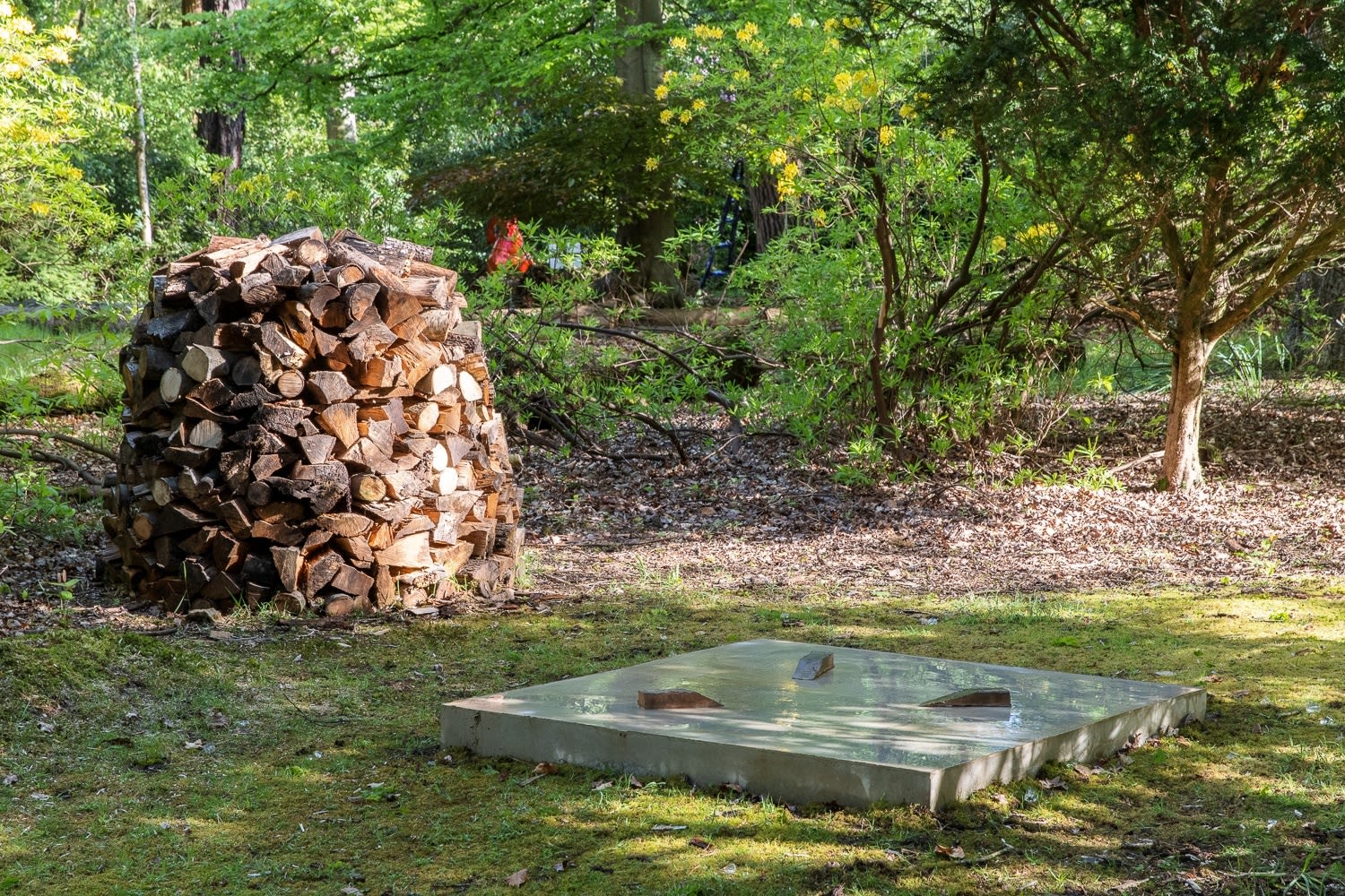 Philipp Röcker, Before, After, and Beyond Knowledge, 2019