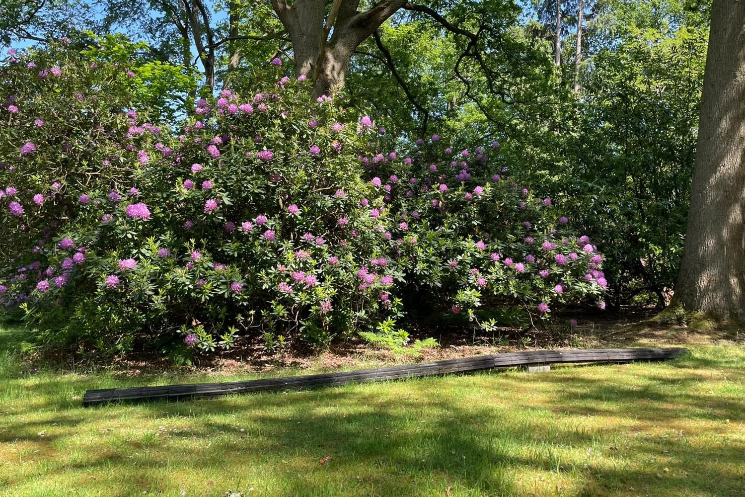 Nika Neelova, Apart, 2019