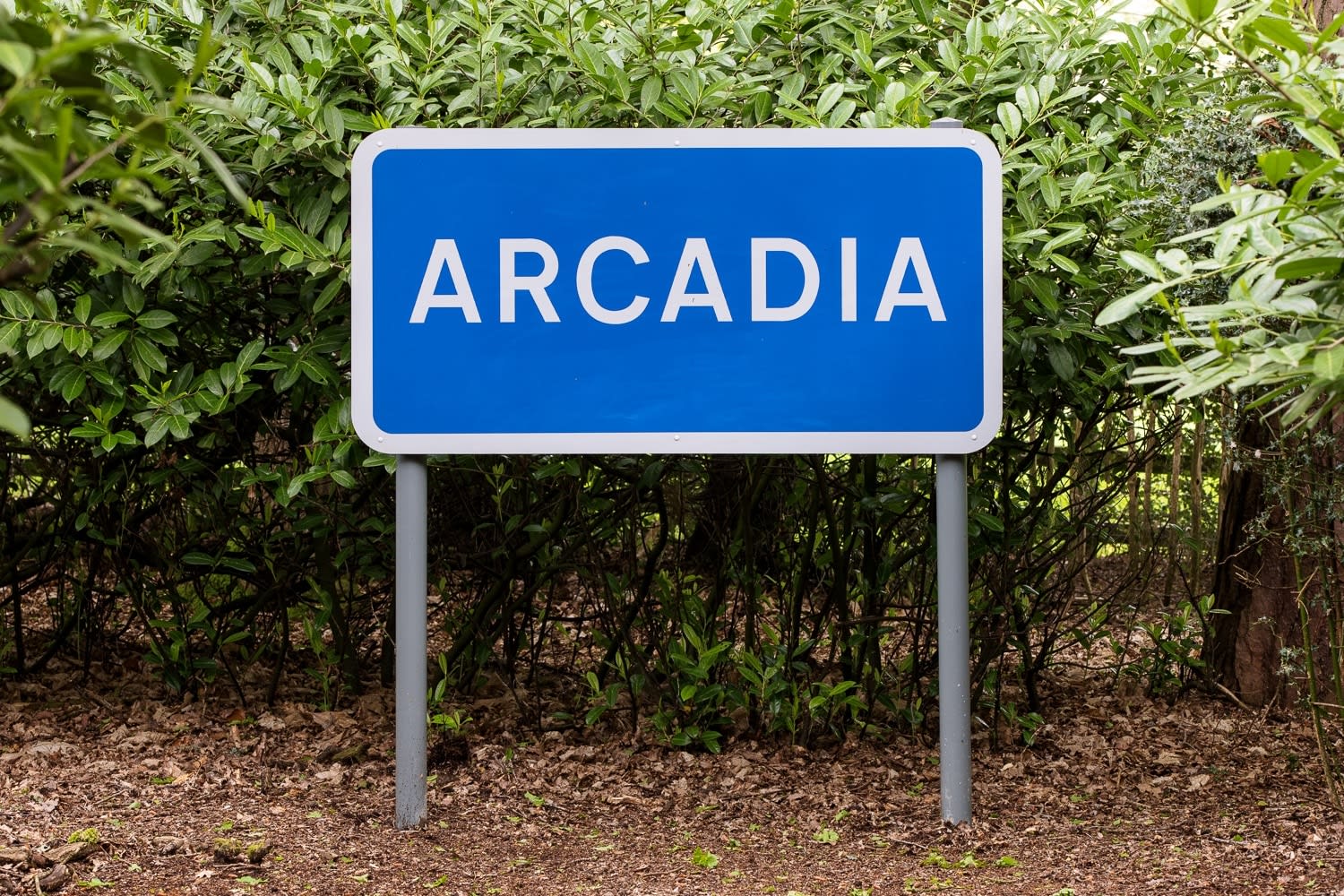 Leo Fitzmaurice, ARCADIA (Blue/white), 2007