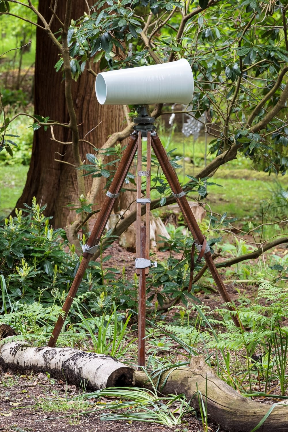 Adam Buick, Sight Line 2, 2021