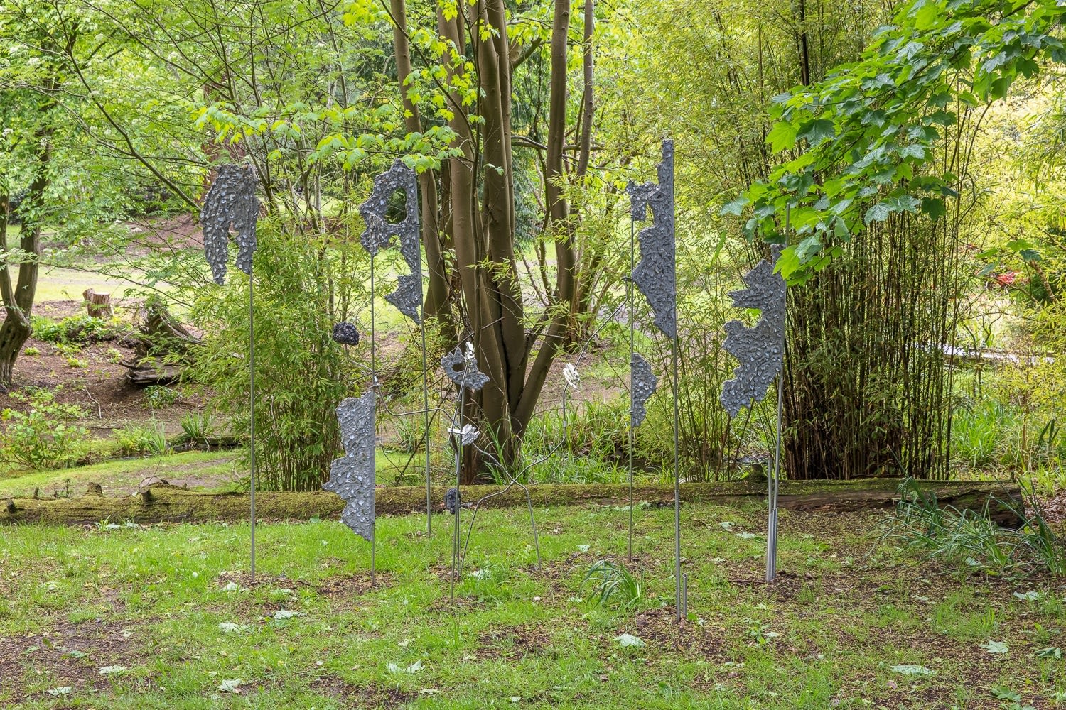 Anna Reading, The Plot, 2021