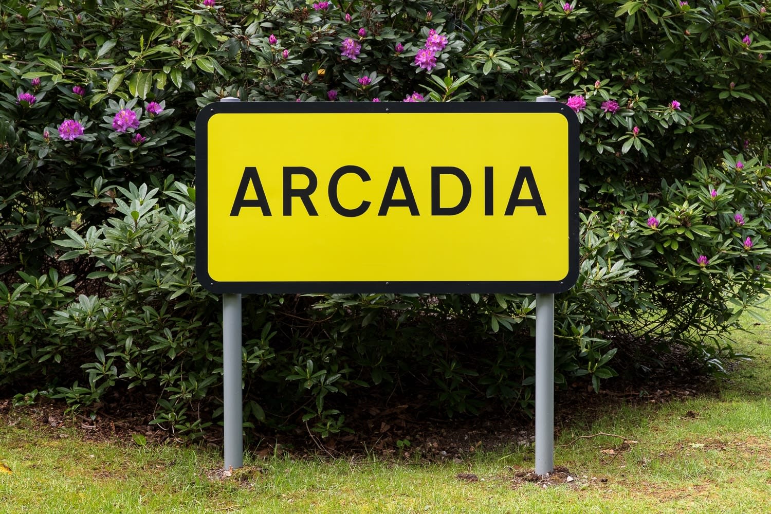 Leo Fitzmaurice, ARCADIA (Yellow/black), 2007