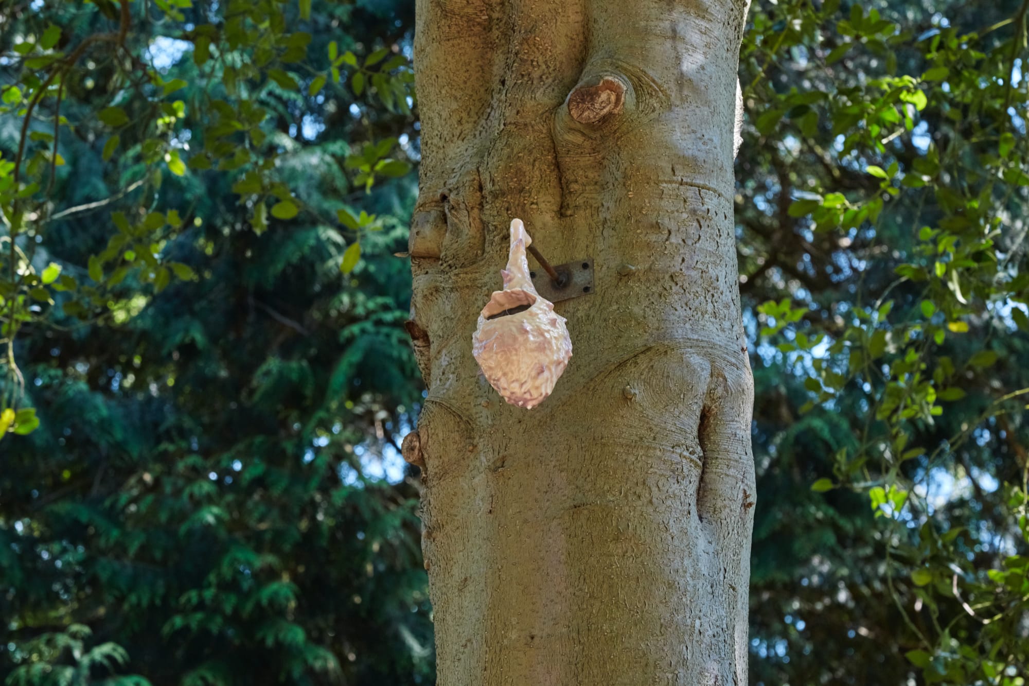 Victor Lim Seaward, Thorned Nest, 2020