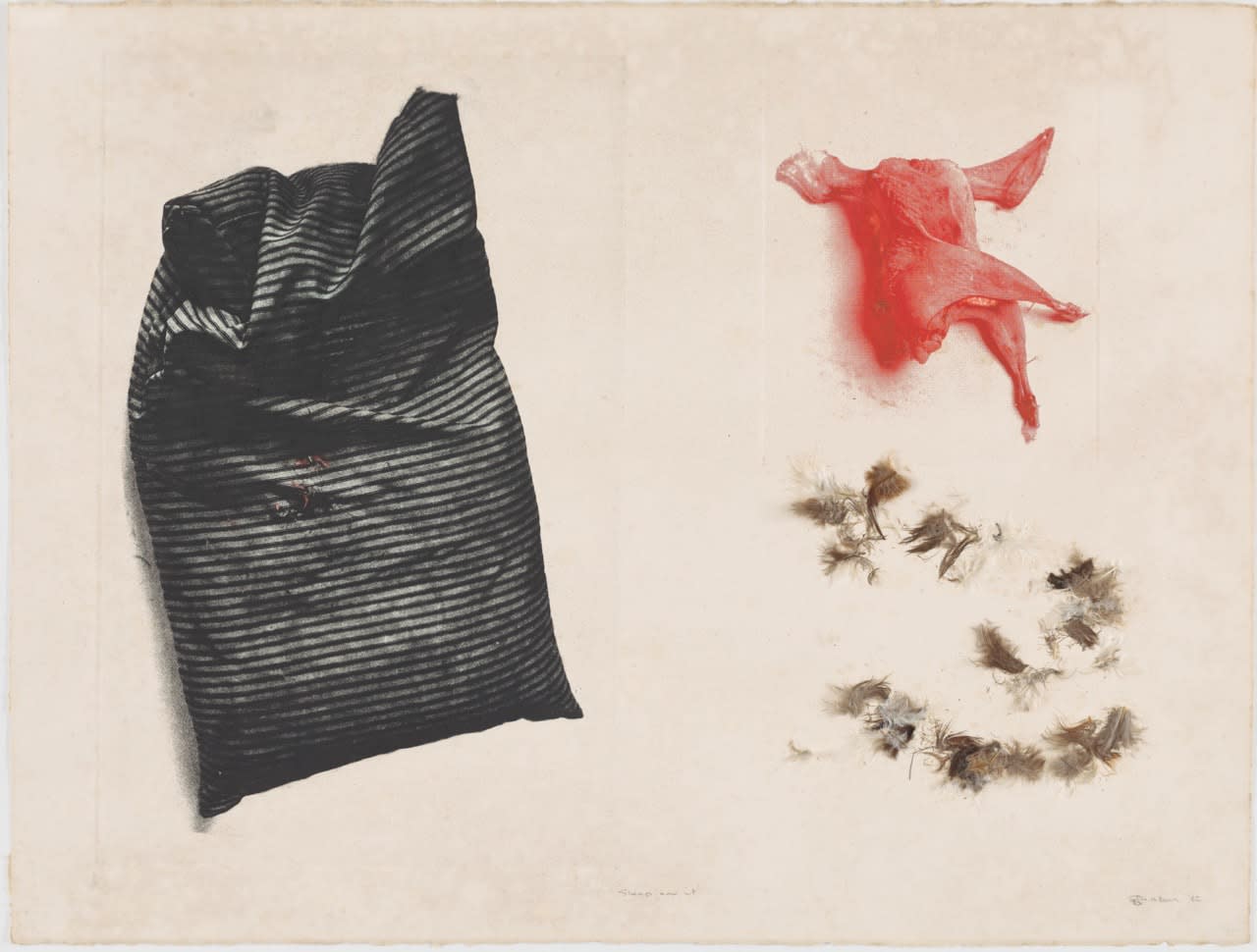 David Jacobson, Sleep on it, 1982