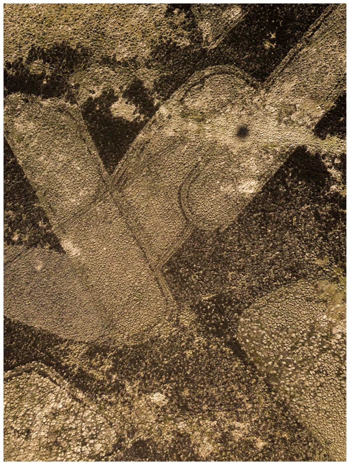 Kieran Dodds, Muirburn III, 2023