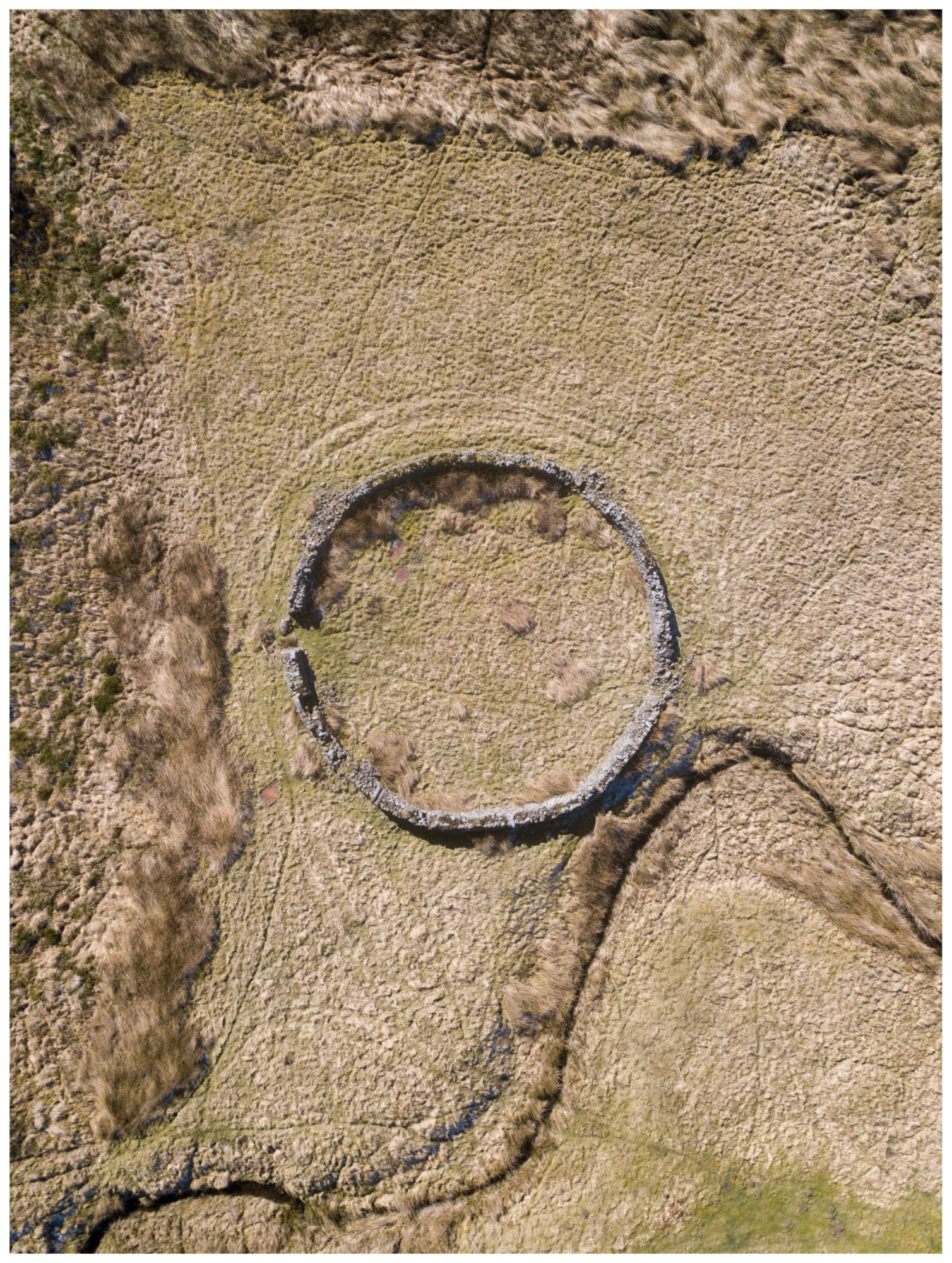 Kieran Dodds, Stell, Borders, 2023