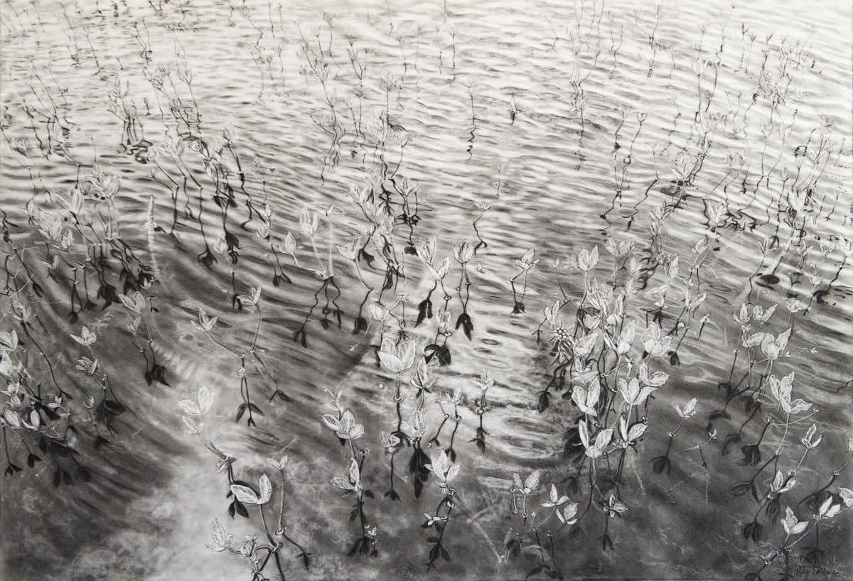 Magi Sinclair, Menyananthes Trifoliata