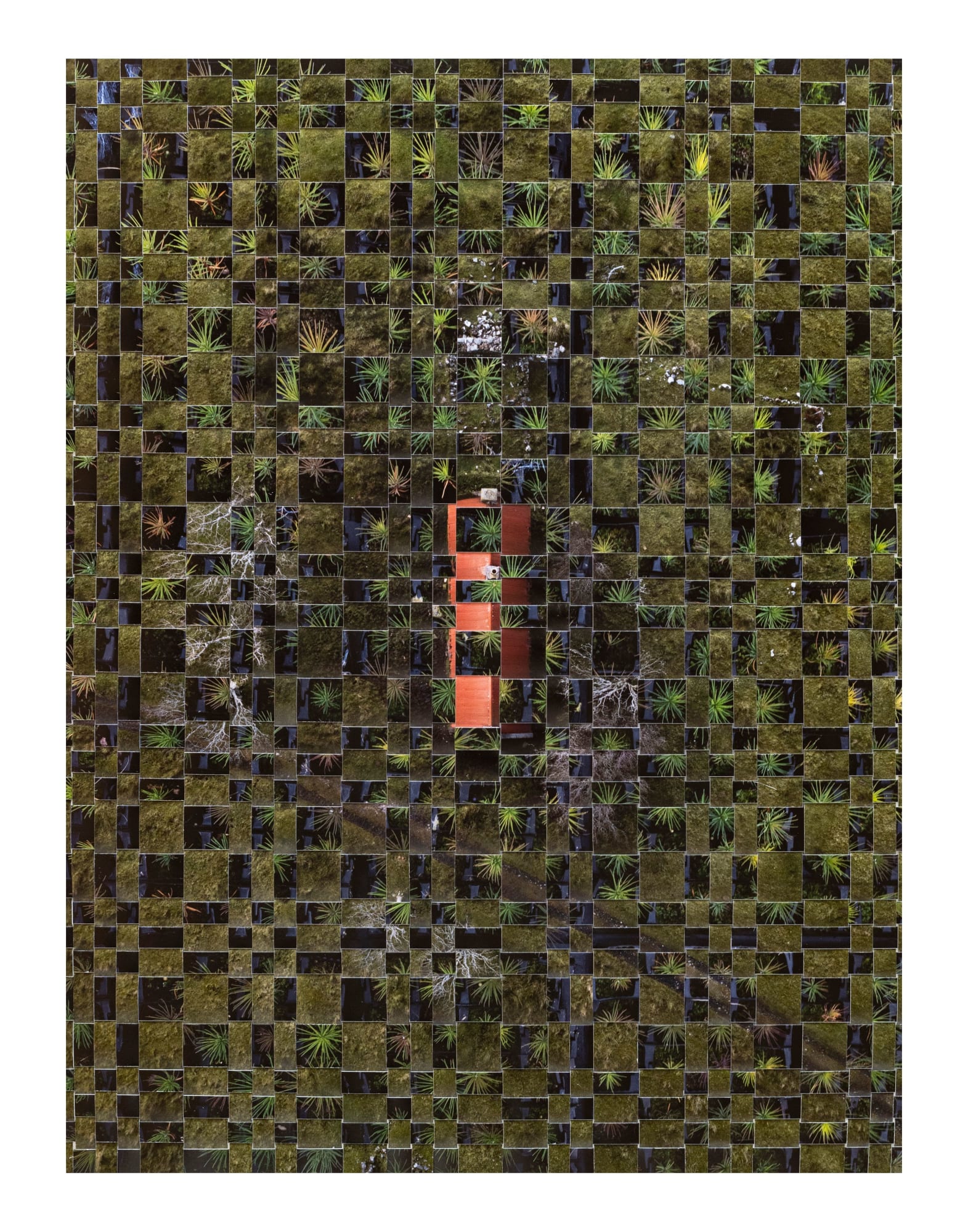 Kieran Dodds, Skye, Invermoriston (Ancient), 2023