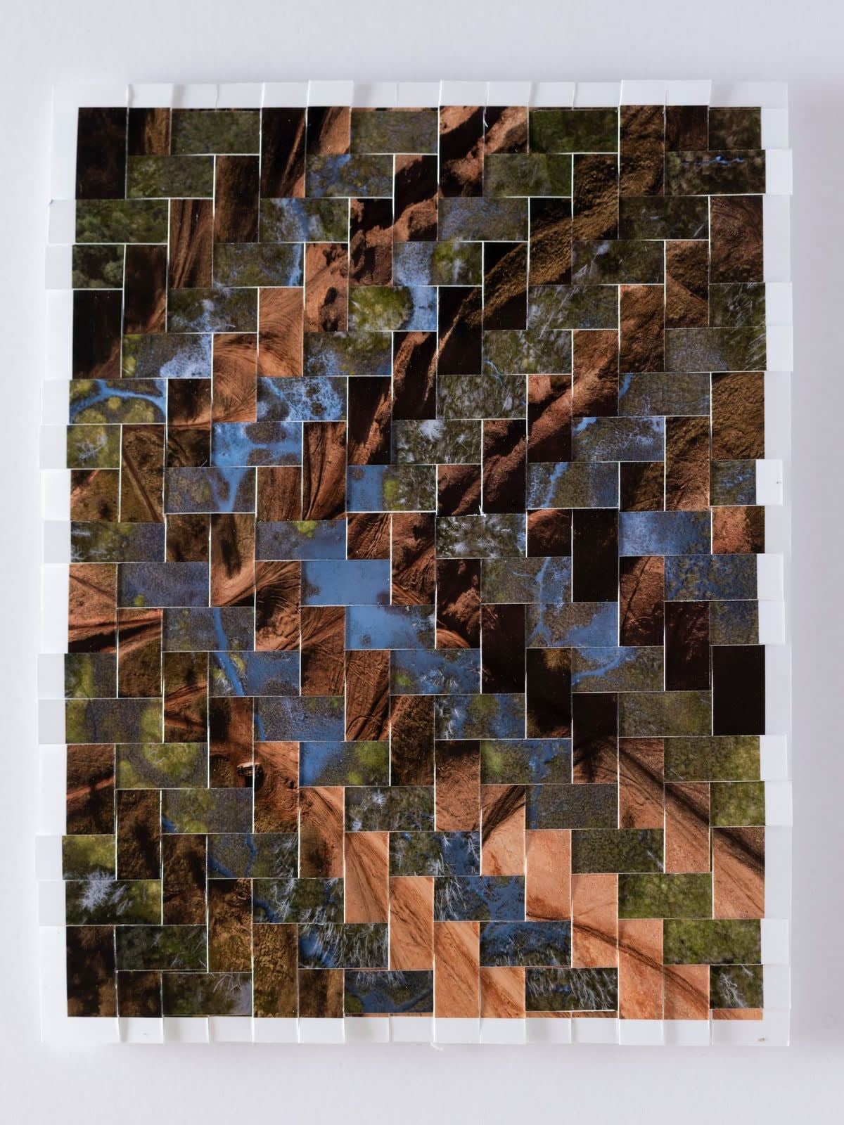 Kieran Dodds, Beaver, Bing Study (Flow), 2023