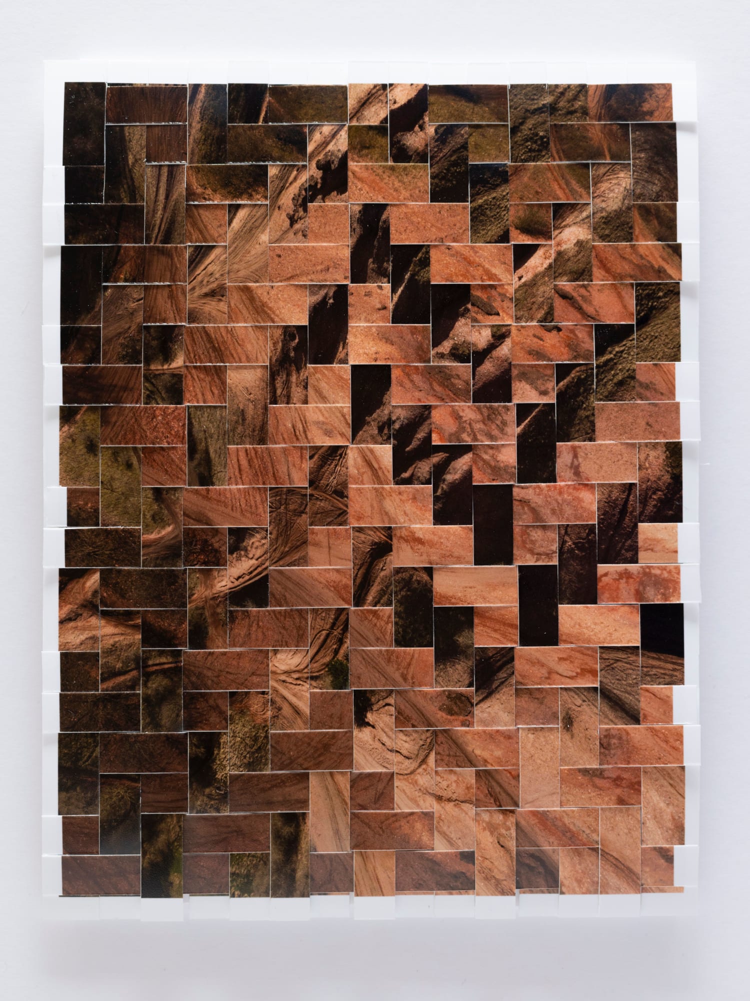 Kieran Dodds, Greendykes Study (Fishbones), 2023