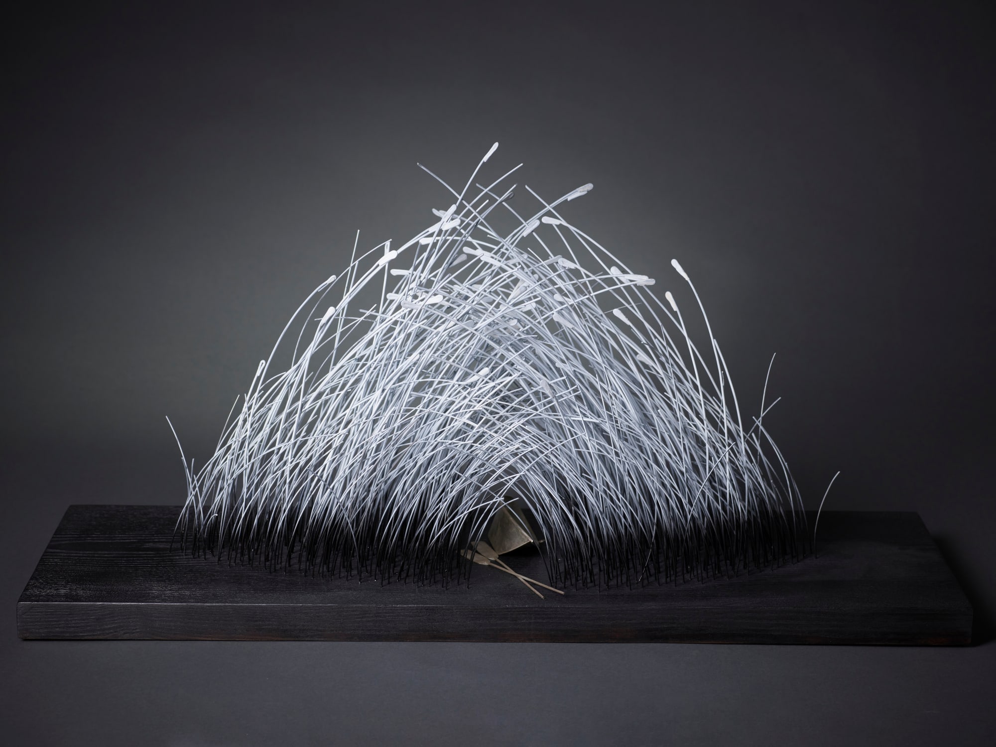 Lucy Woodley, The Way Through