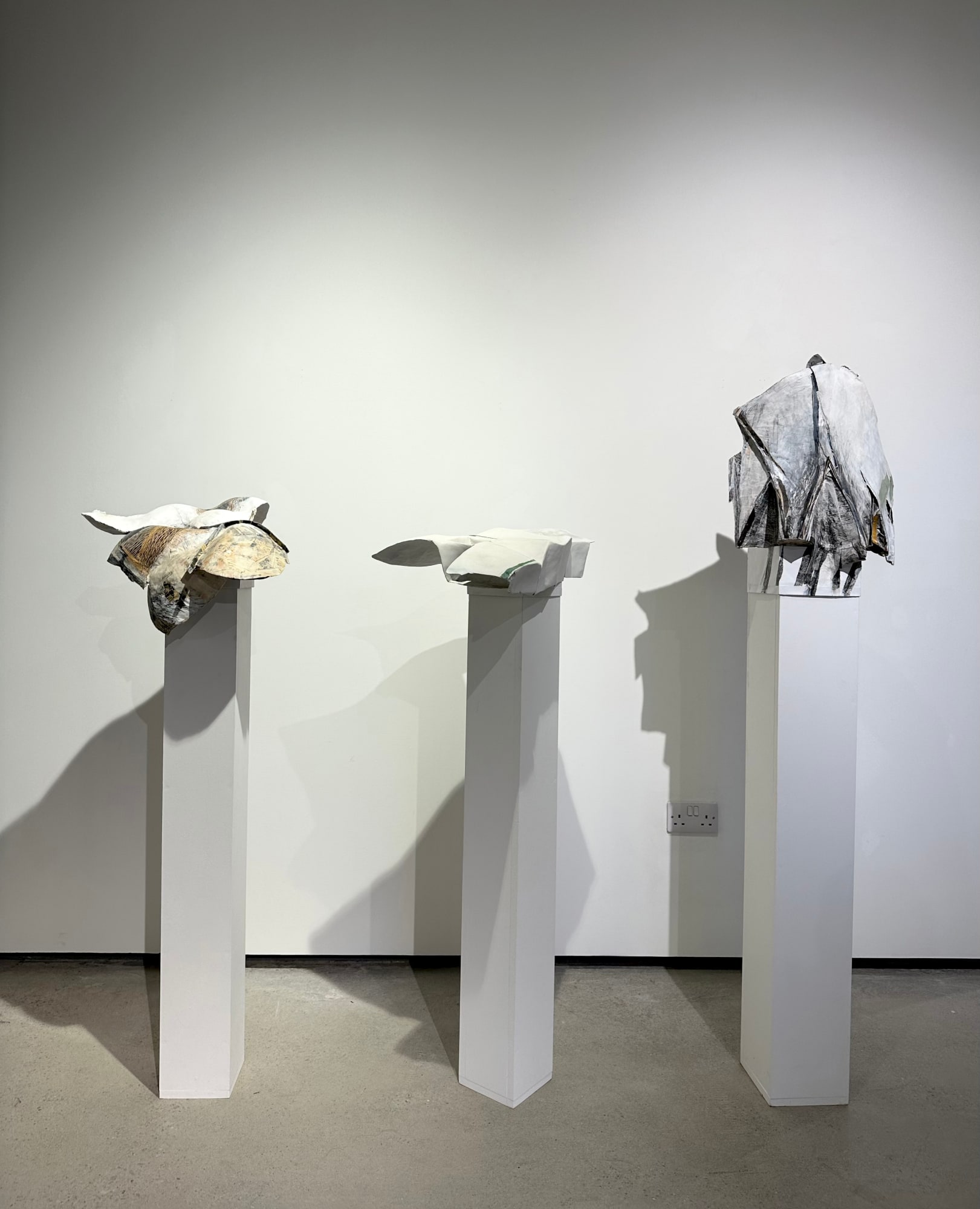 Frances Pelly, Paper Landscapes