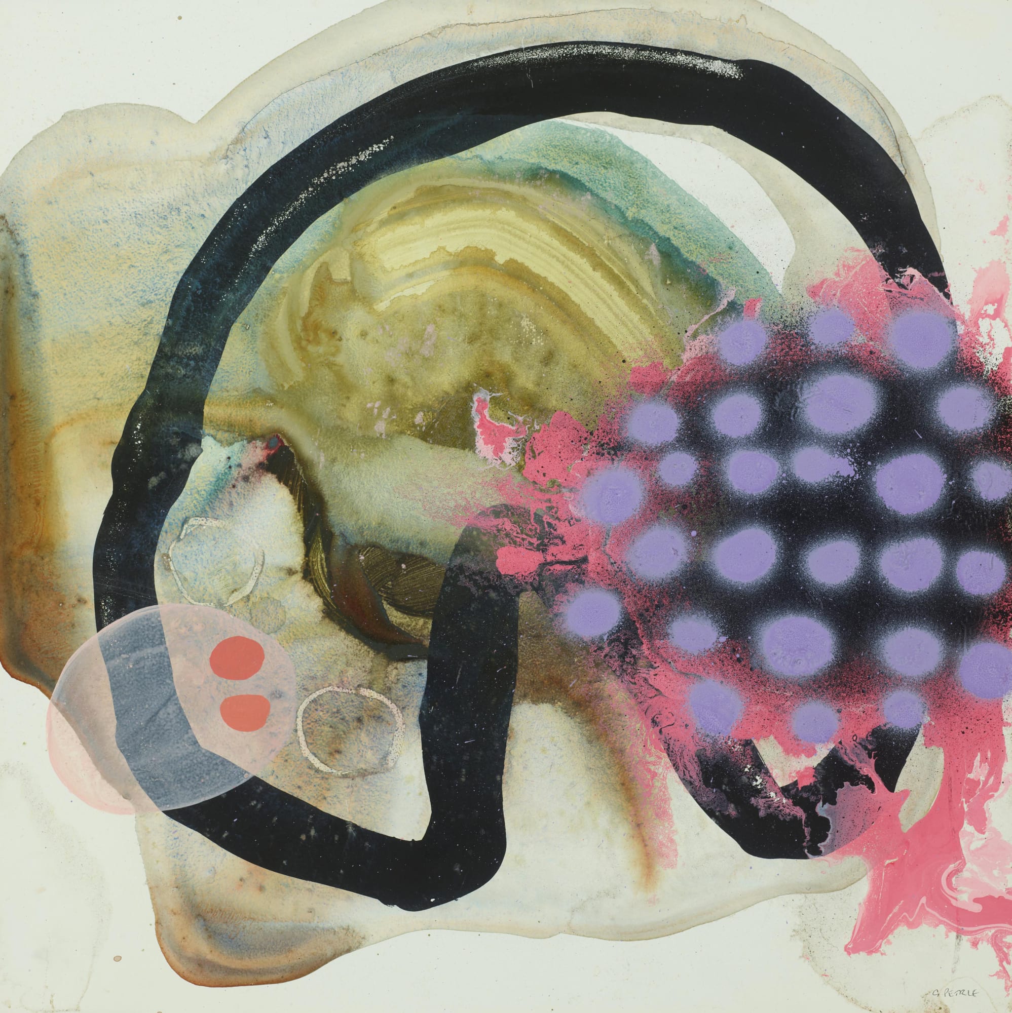 Gemma Petrie, Little Niggles