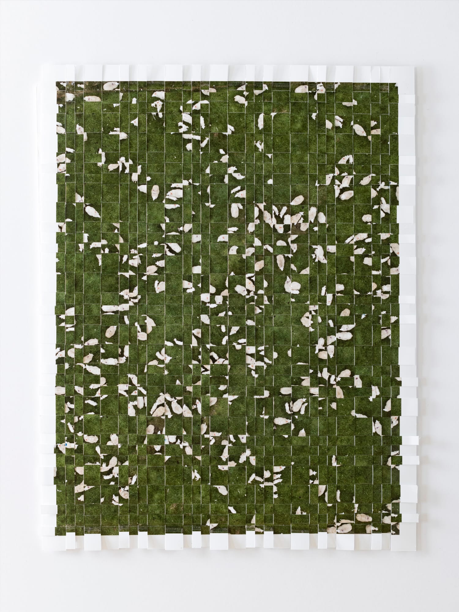 Kieran Dodds, Scattered Flock, Peebles (Ancient), 2023