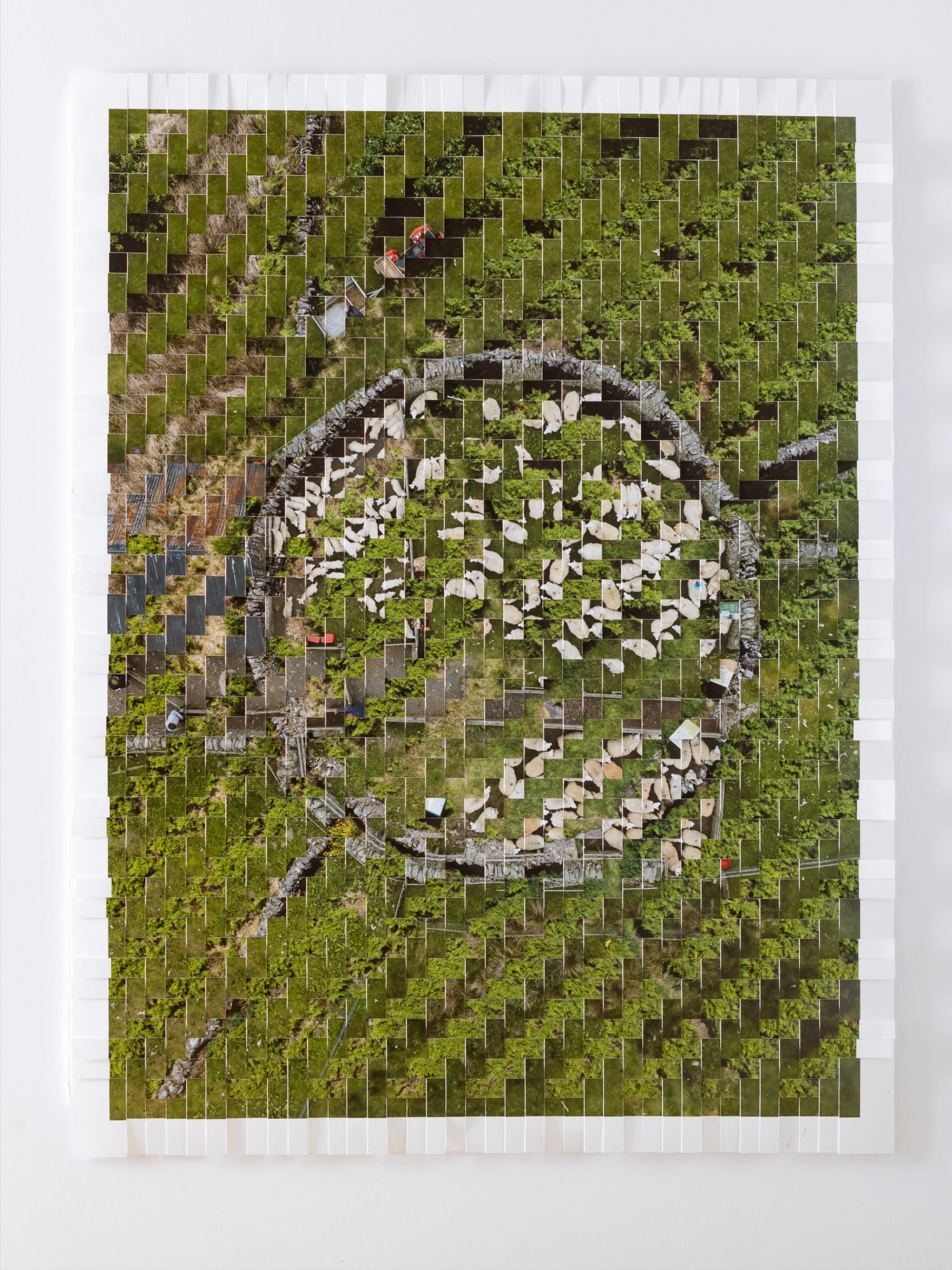 Kieran Dodds, Gathered Flock, Peebles (Tweed), 2023