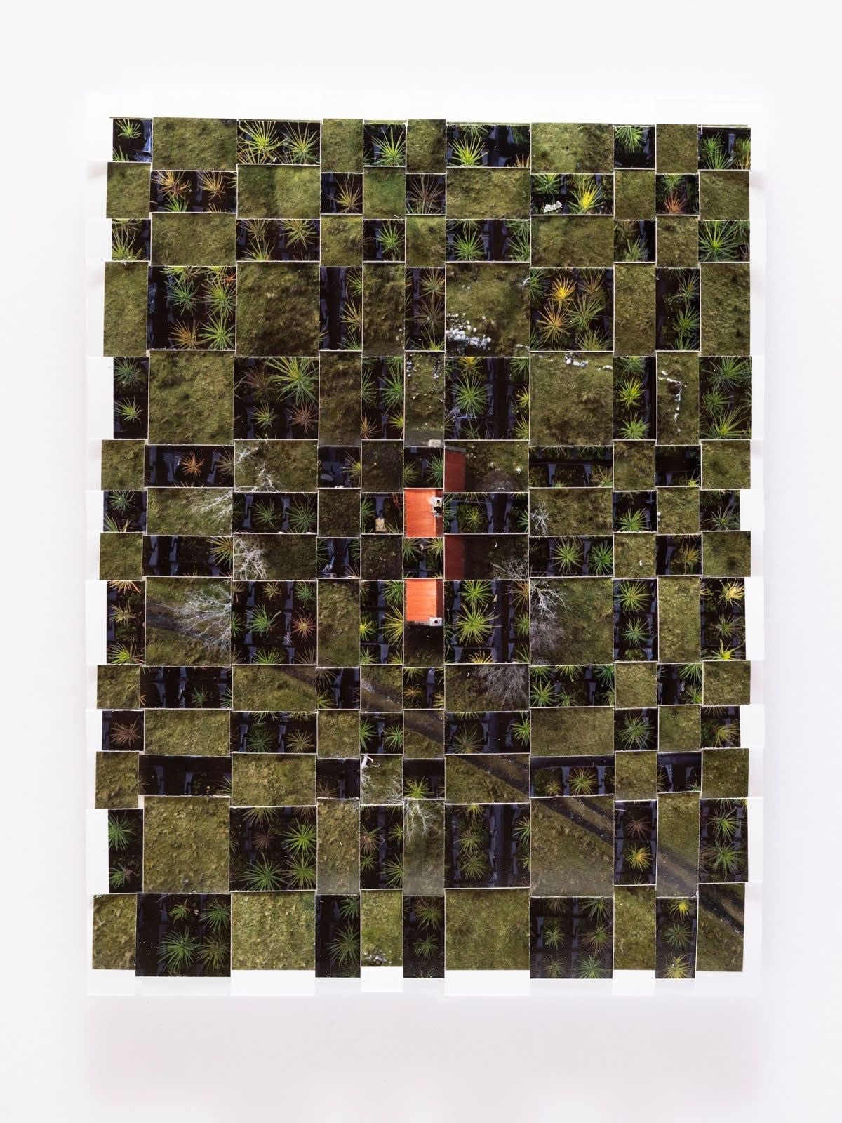 Kieran Dodds, Skye, Invermoriston Study (Ancient), 2023