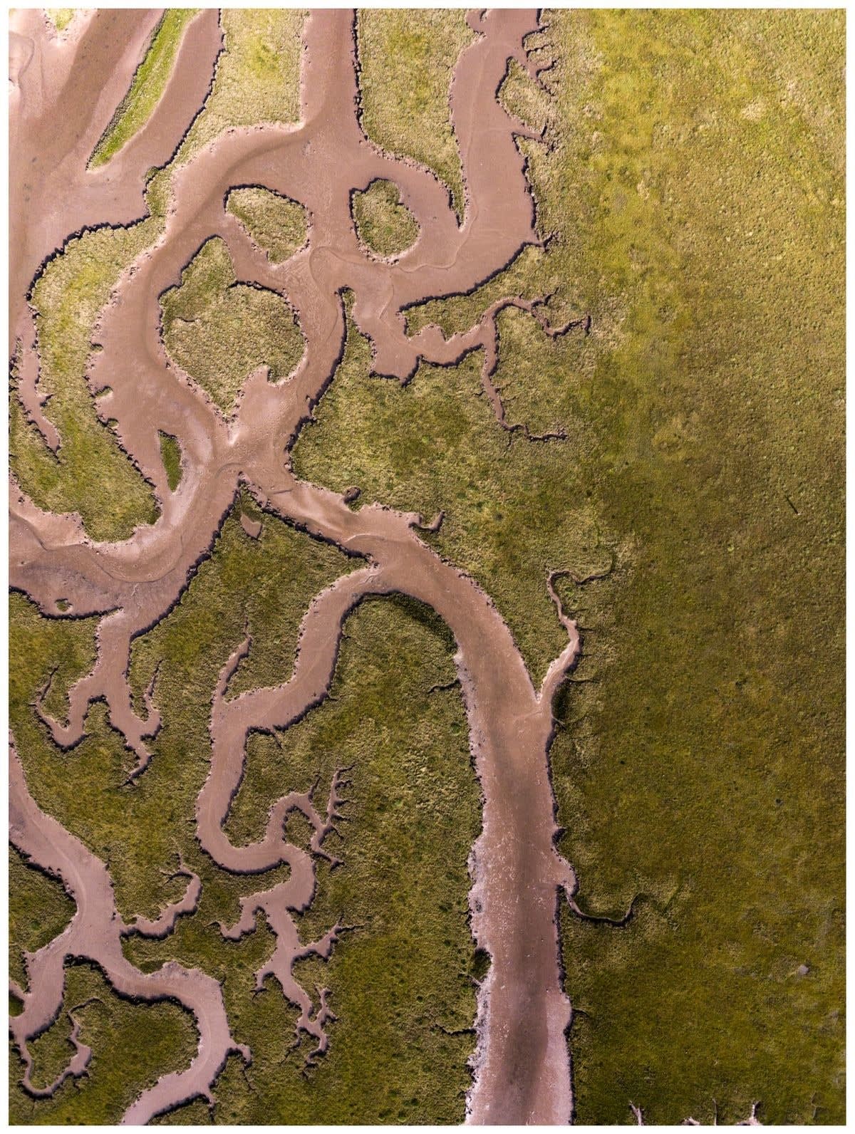 Kieran Dodds, Tyninghame, 2018