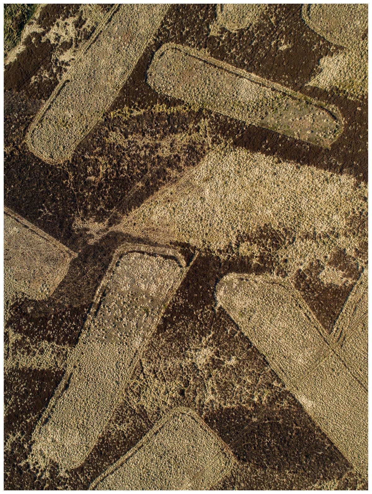 Kieran Dodds, Muirburn I, 2022