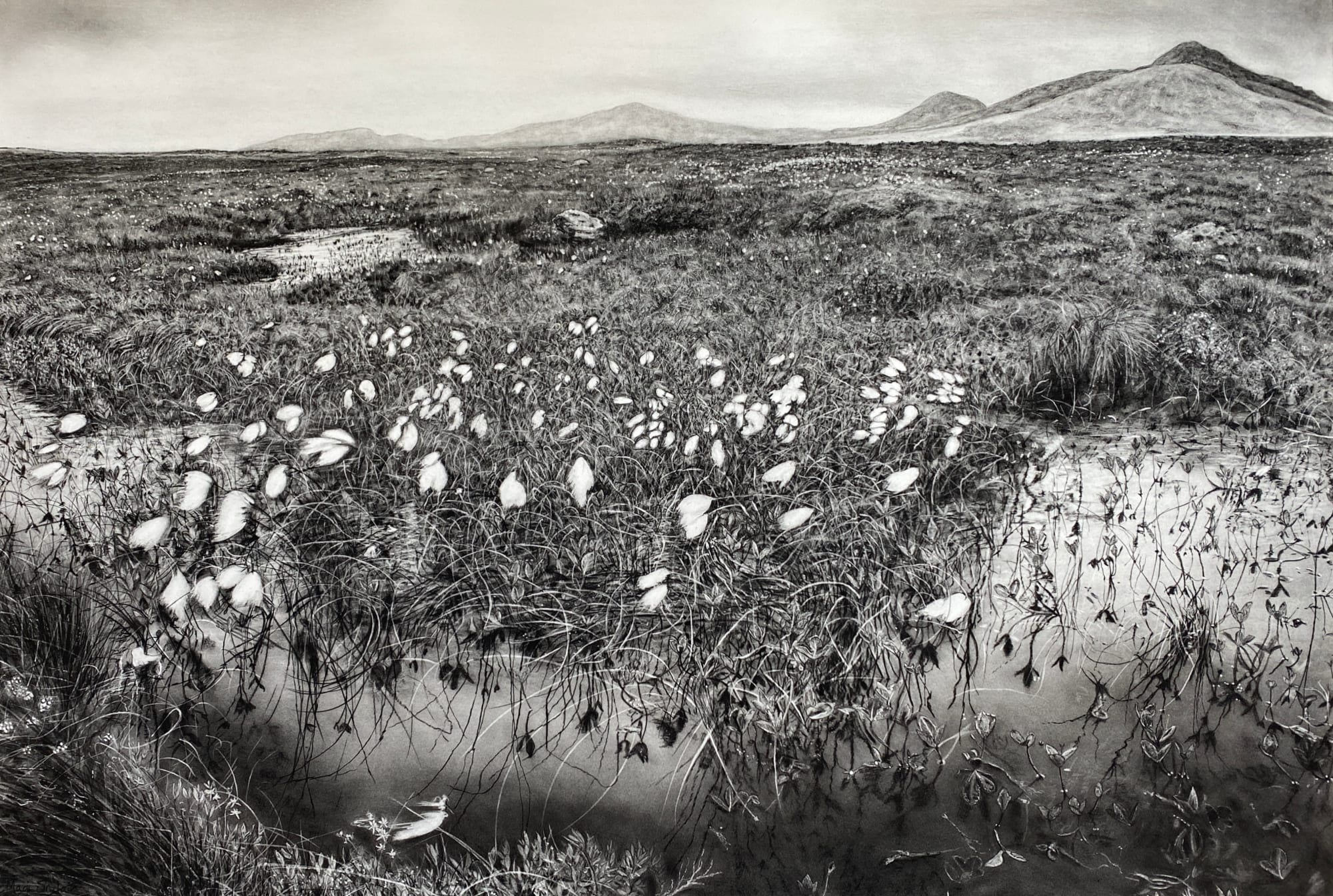 Magi Sinclair, The Last Wilderness of the North, 2022