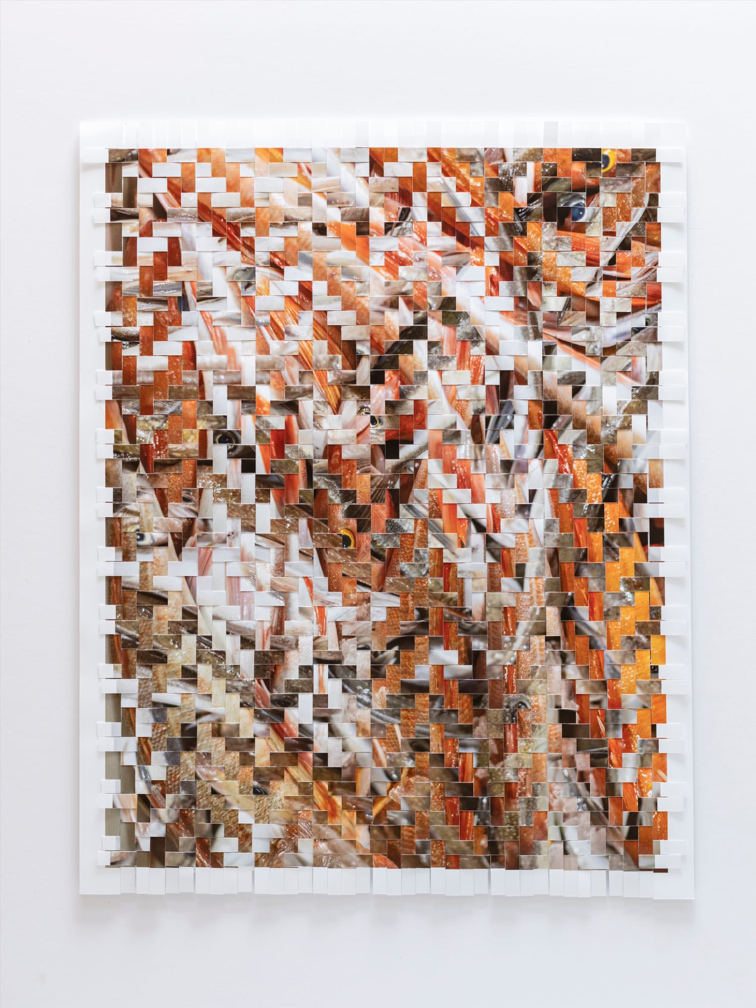 Kieran Dodds, Peterhead (Fishbones), 2023