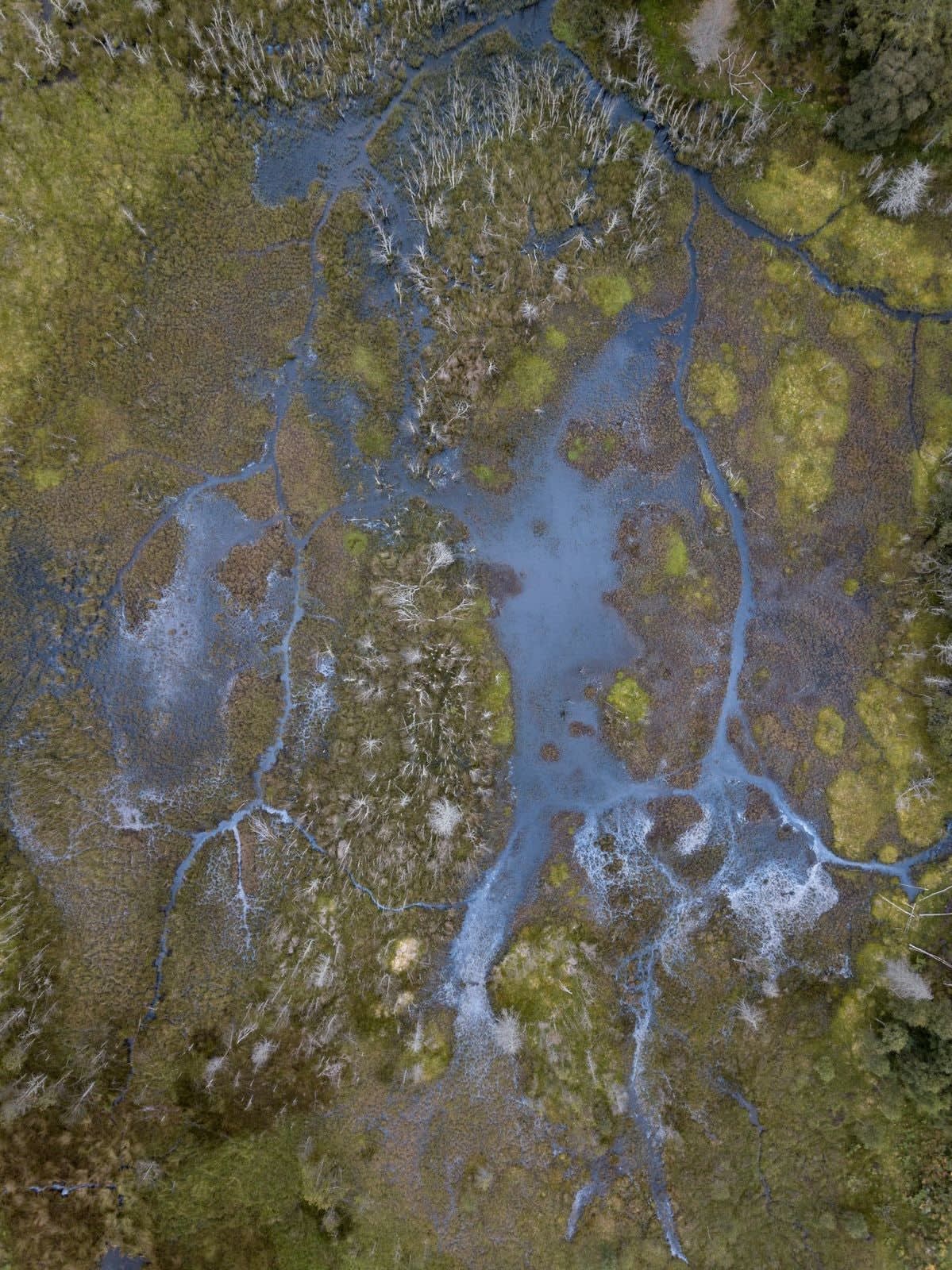 Kieran Dodds, Beaver Paths, Perthshire, 2021