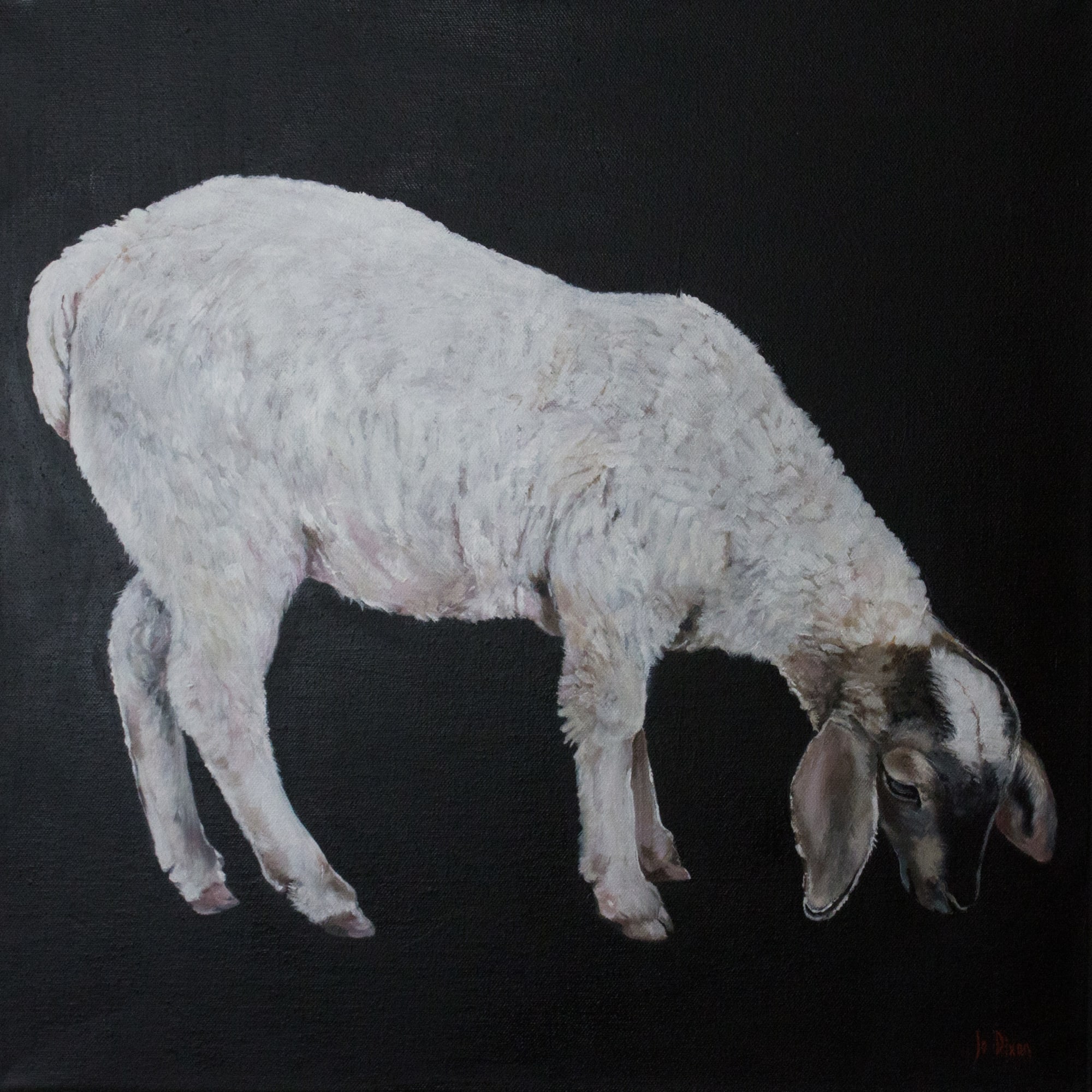 Jo Dixon, Lamb