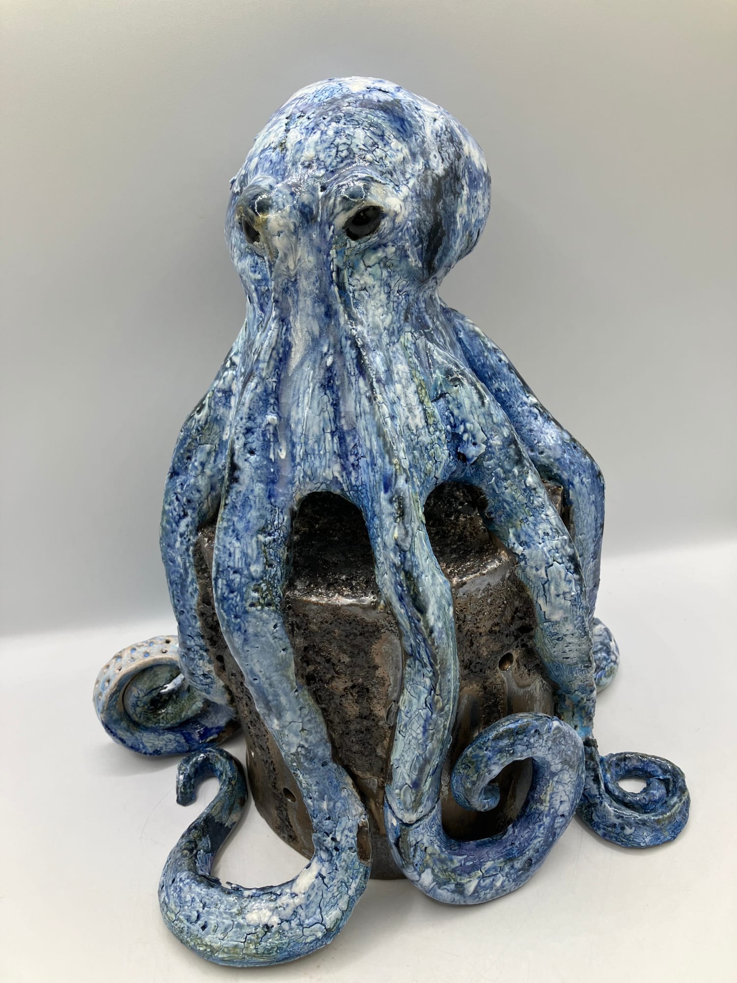 Sculpture Gallery, Octopus , 2025
