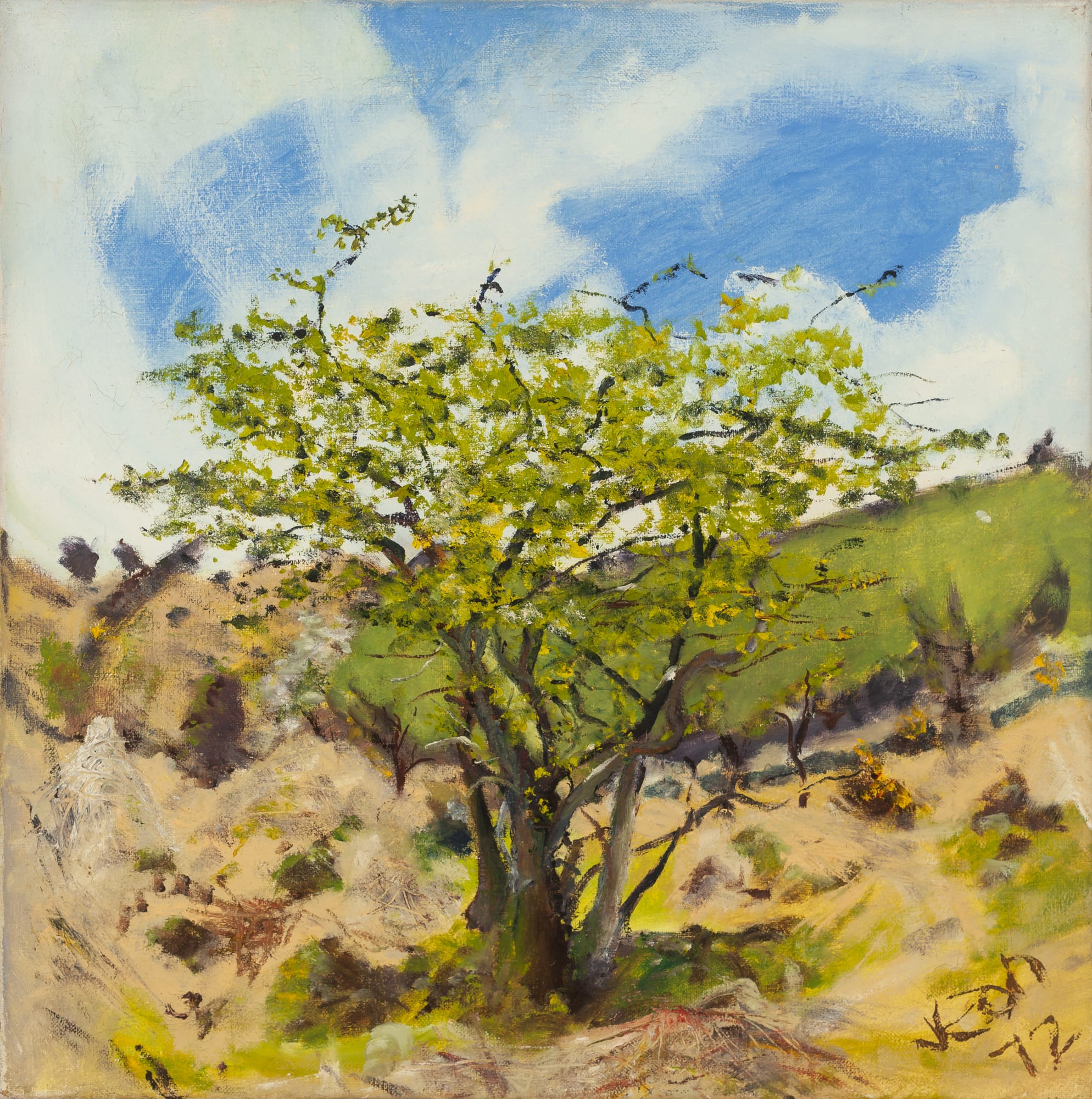 JEAN JONES, Plym Valley Thorn, 1972