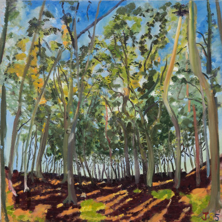 Jean Jones, Brisworthy Woods Dartmoor, 1985