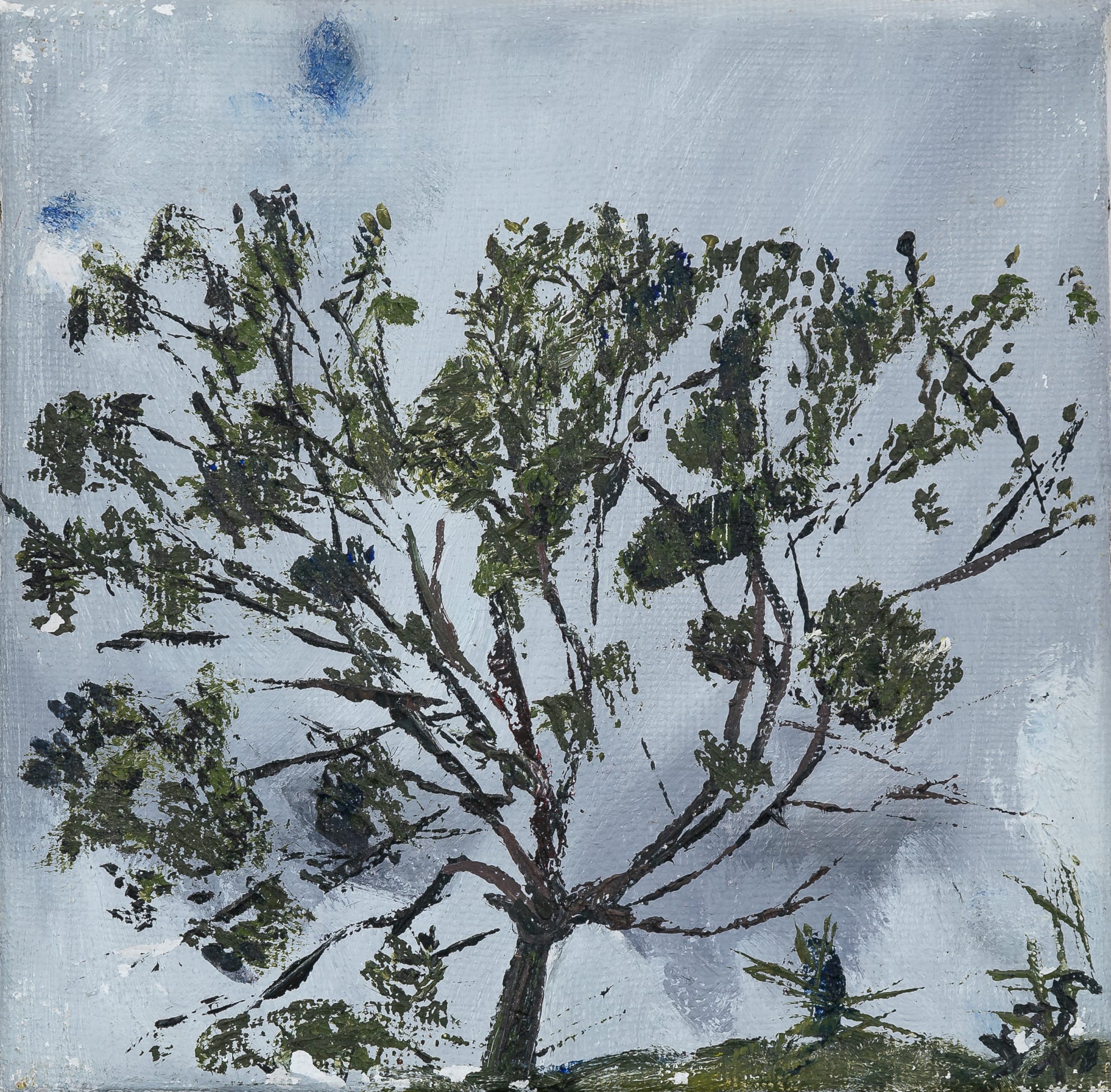 Jean Jones, Pussy Willow, 1975