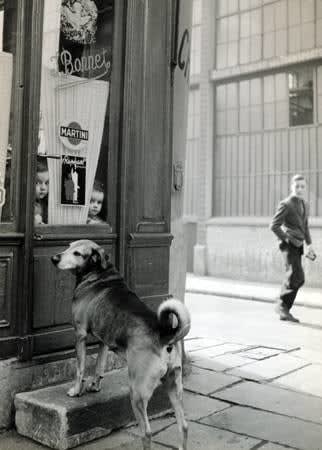 Robert Doisneau, Cafe Bonnet, Paris, 1953