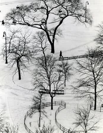 André Kertész, Washington Square Day, 1954
