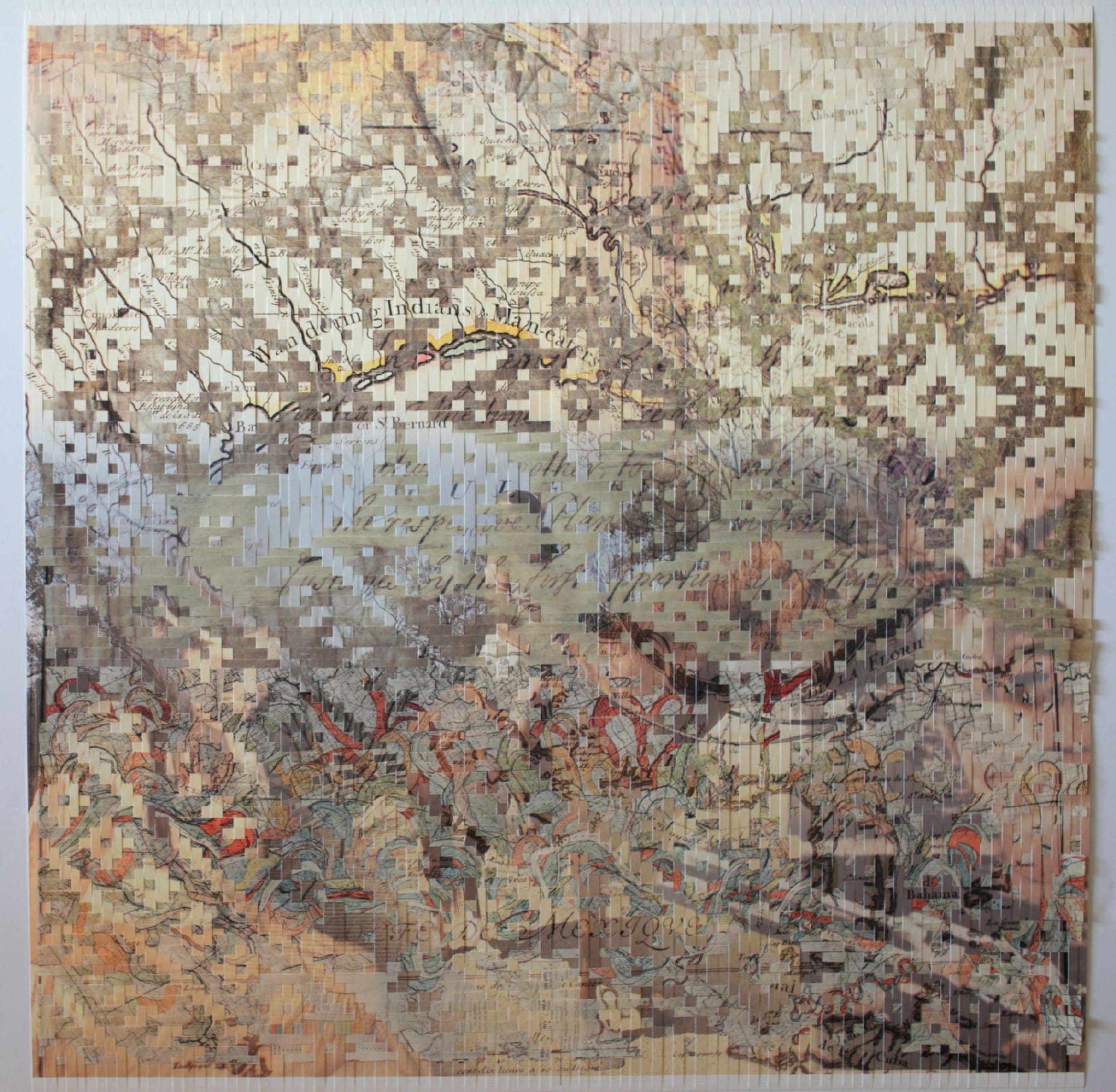 Sarah Sense, Wandering, 2022