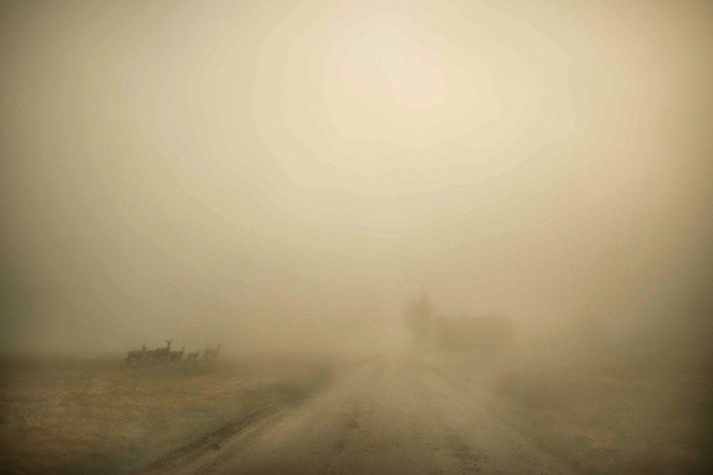 Todd Hido, 11798-3574, 2017