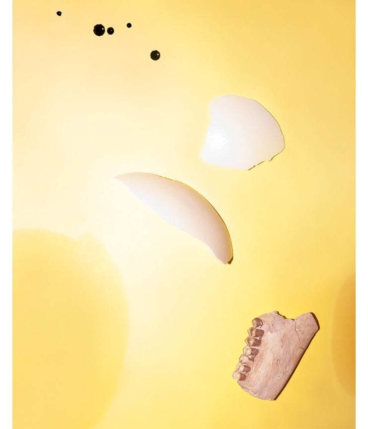 Brea Souders, Teeth and Shell, 2012