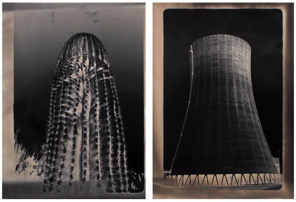 John Wood, Cooling Tower (Doublet with Cactus), 1989