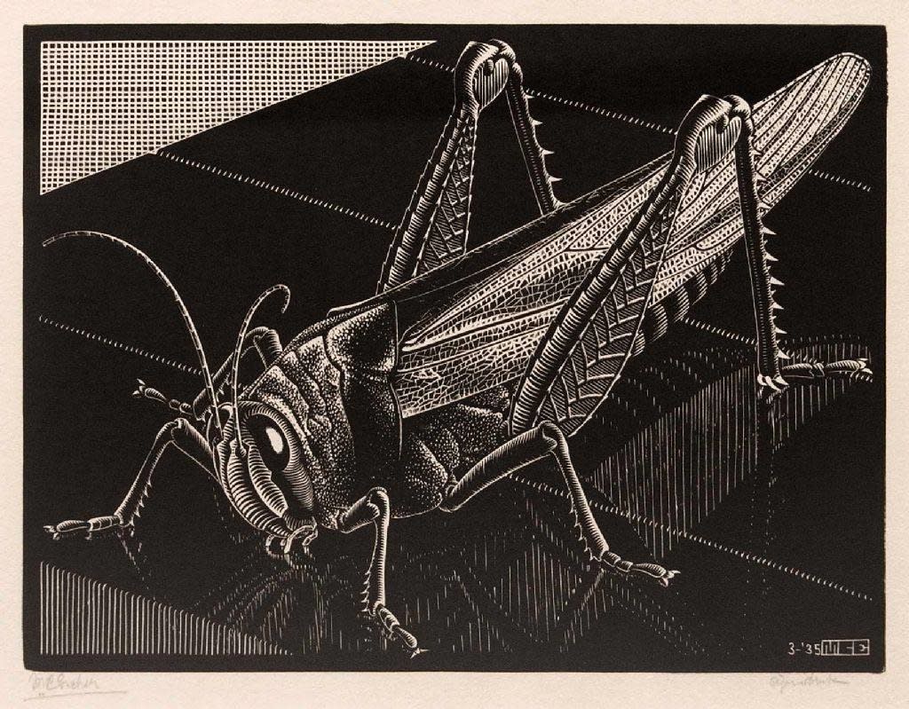 M.C. Escher, Grasshopper, 1935