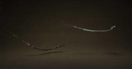 Shinichi Maruyama, Garden #5, 2010