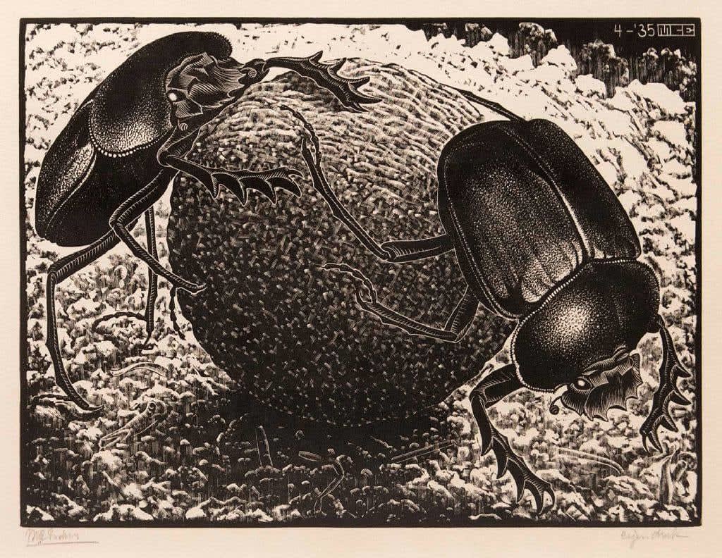 M.C. Escher, Scarabs, 1935