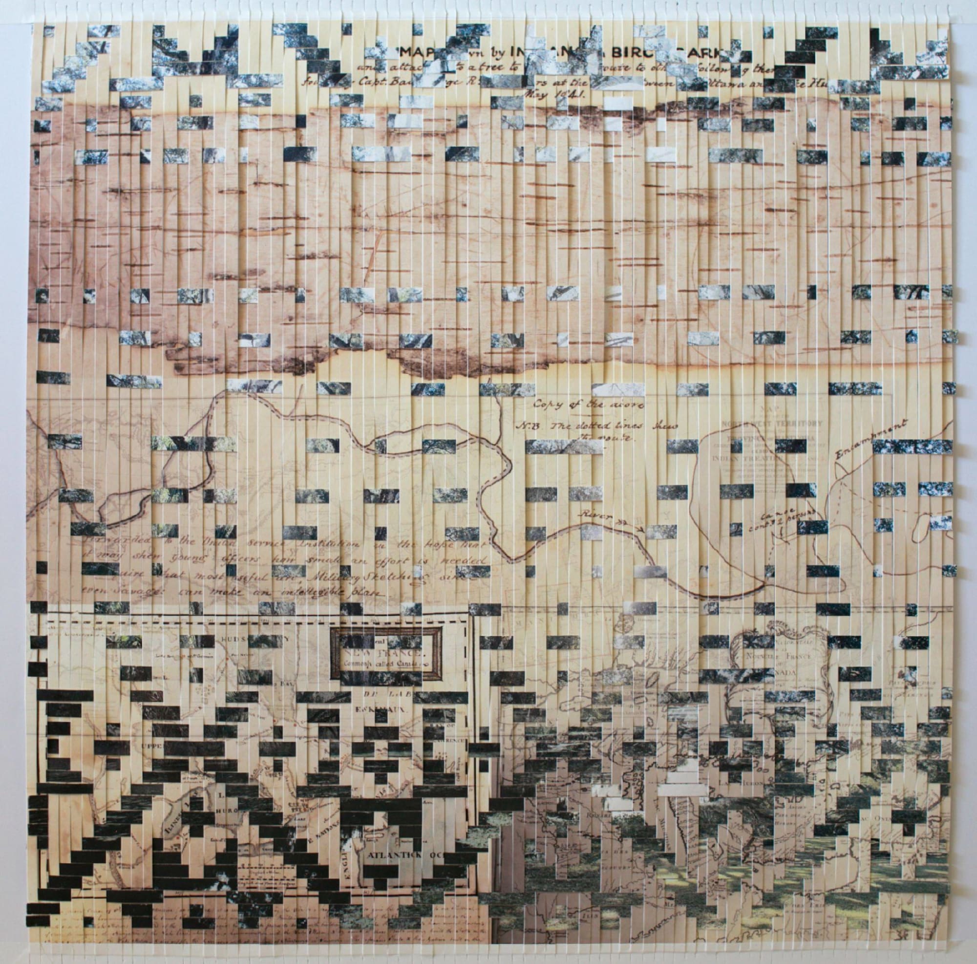 Sarah Sense, Birch Bark, 2022