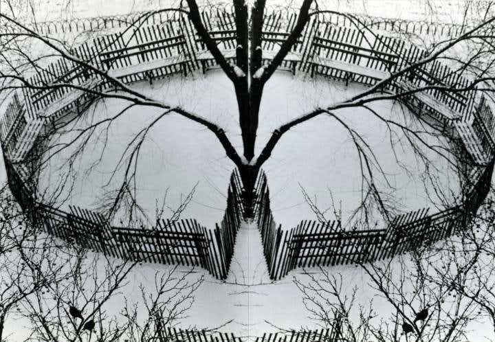 André Kertész, Winter Garden, December 23, 1970